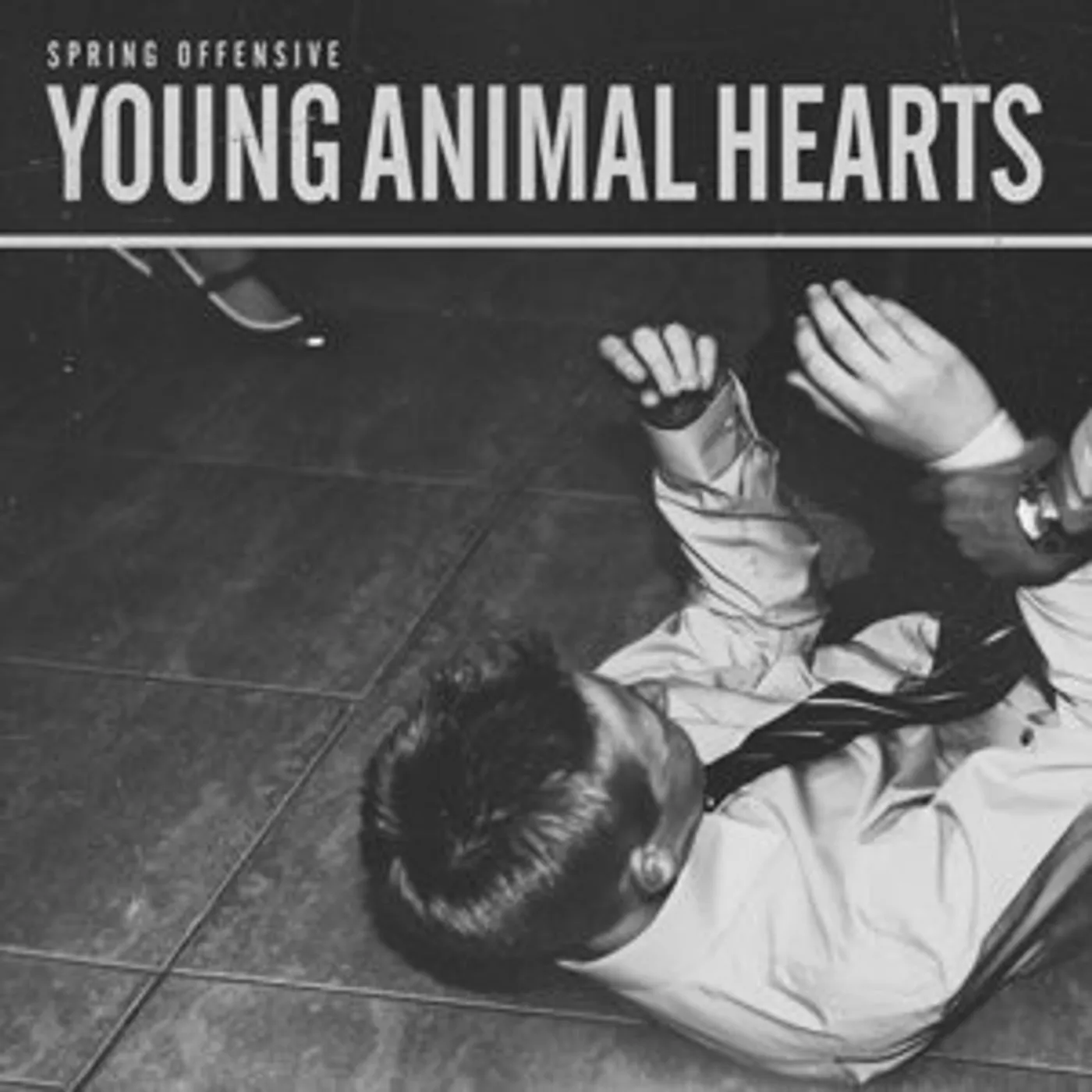 Spring Offensive Young Animal Hearts Vinyl Record