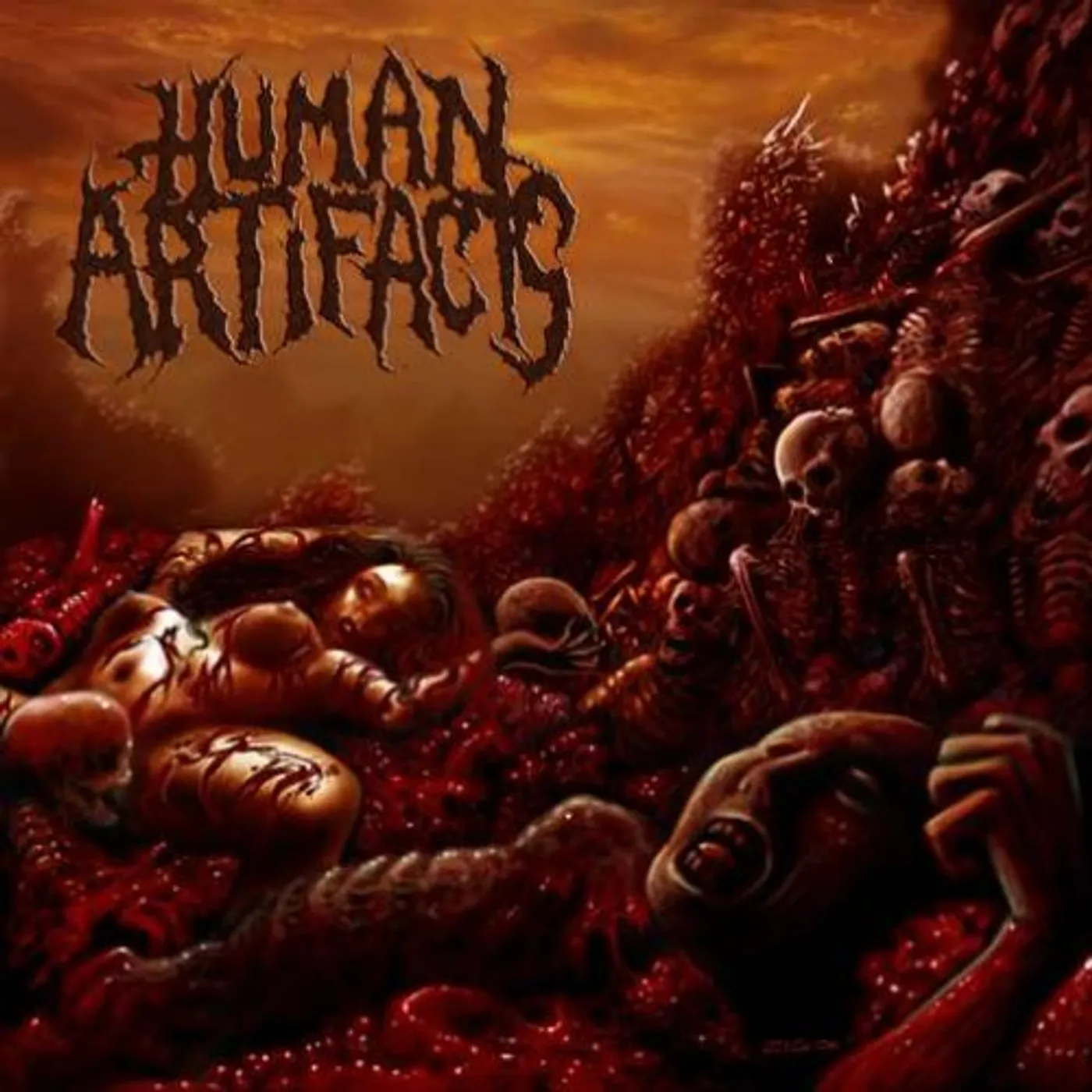 Human Artifacts PRINCIPLES OF SICKNESS CD