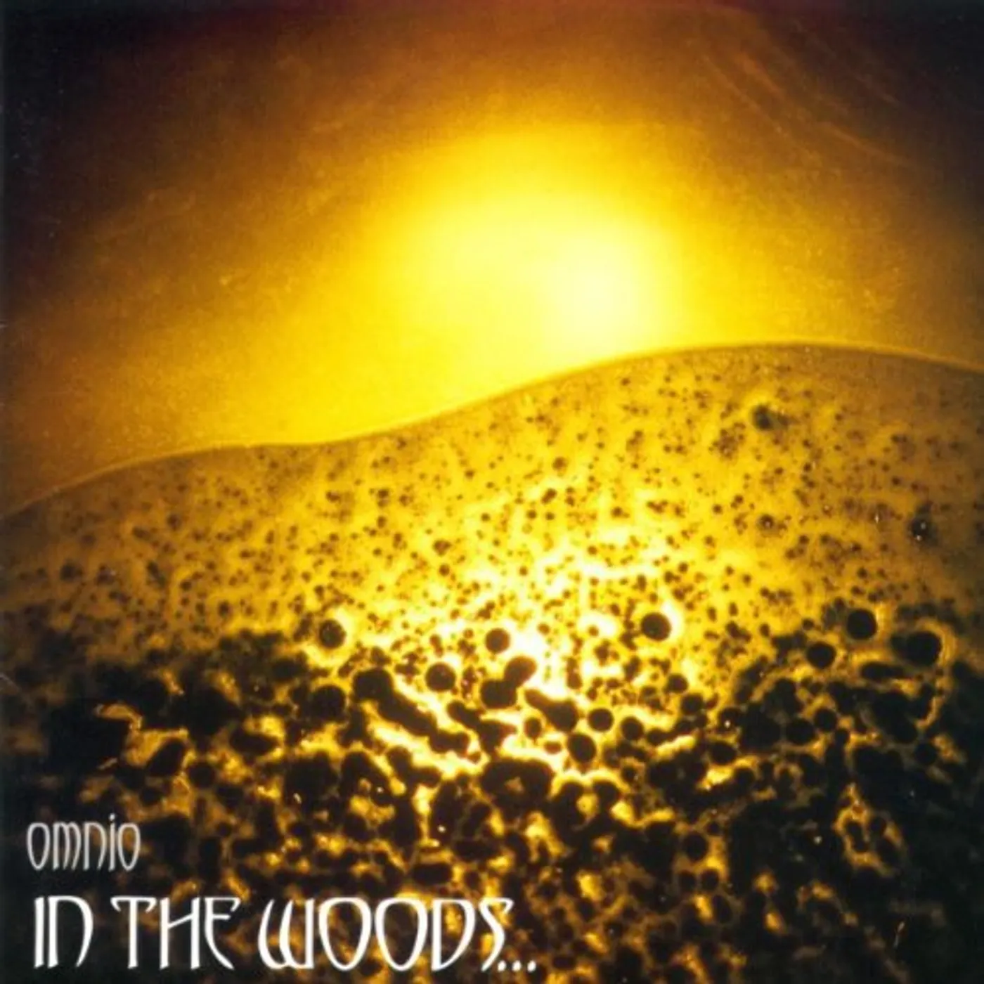In The Woods... Omnio Vinyl Record