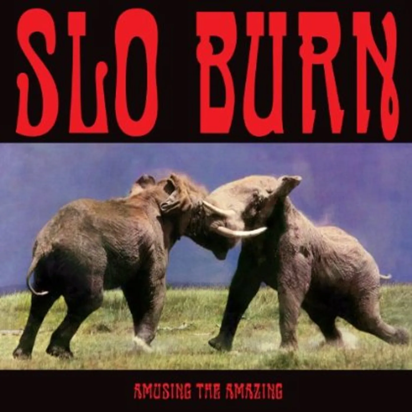 Slo Burn Amusing The Amazing Vinyl Record