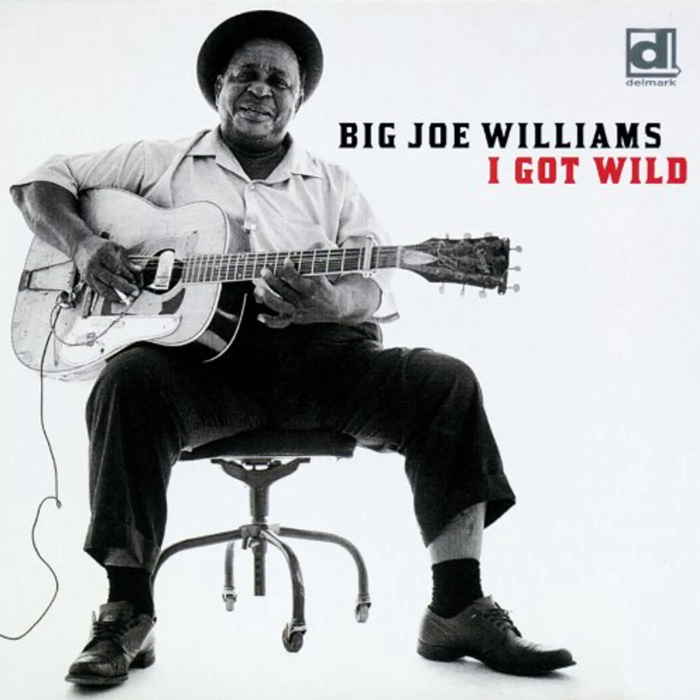 Big Joe Williams I GOT WILD CD