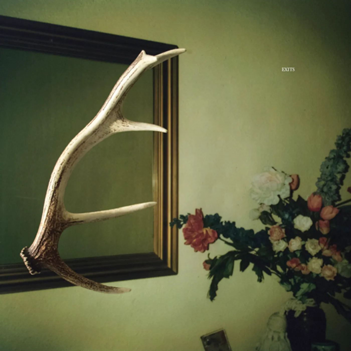 Loops Haunt EXITS CD