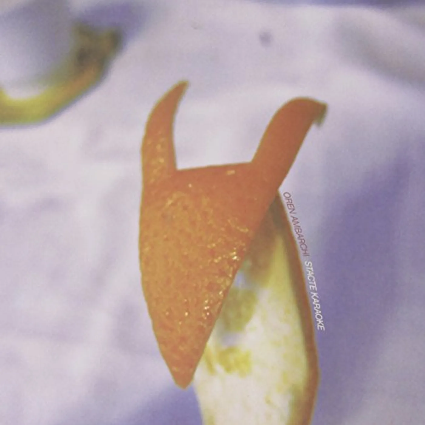 Oren Ambarchi STACTE KARAOKE Vinyl Record