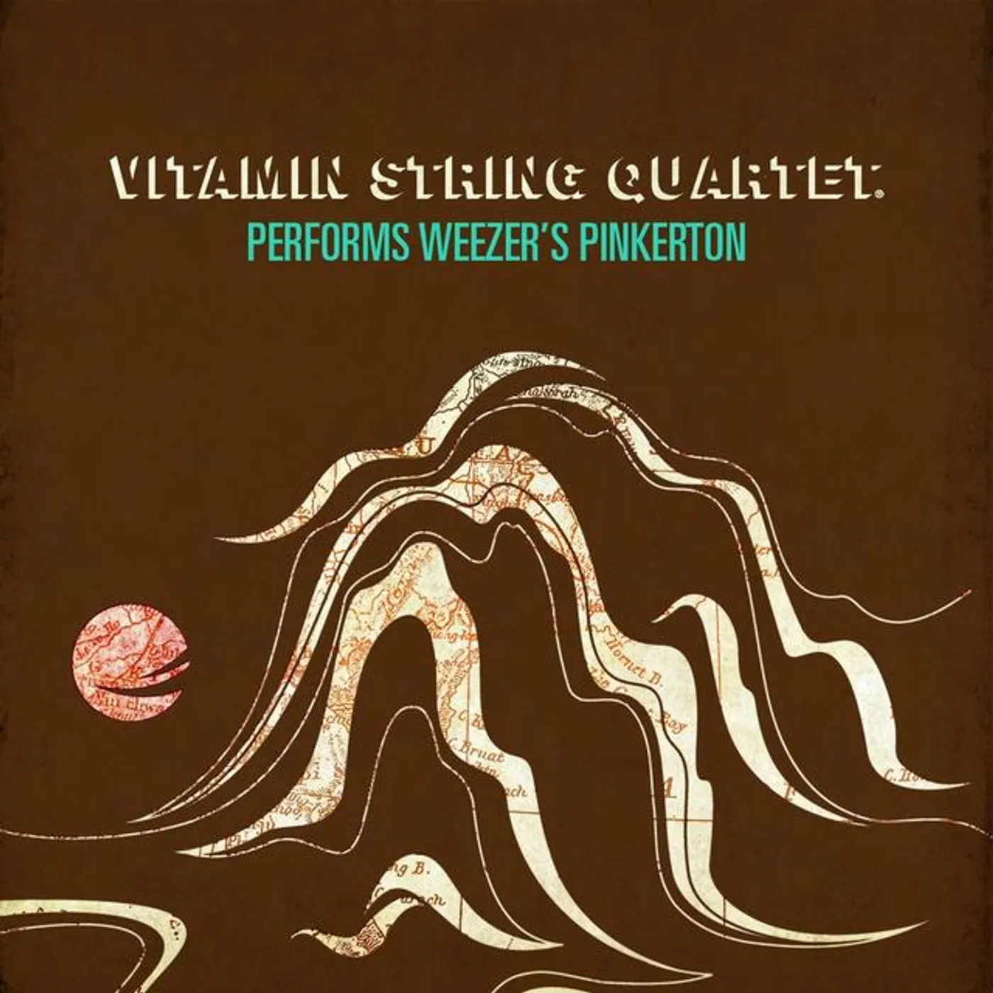Vitamin String Quartet VSQ PERFOMS WEEZER'S PINKERTON Vinyl Record - Digital Download Included