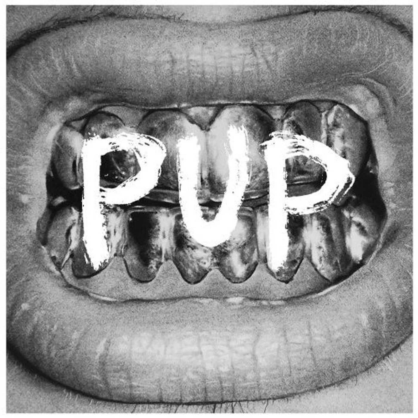 PUP CD