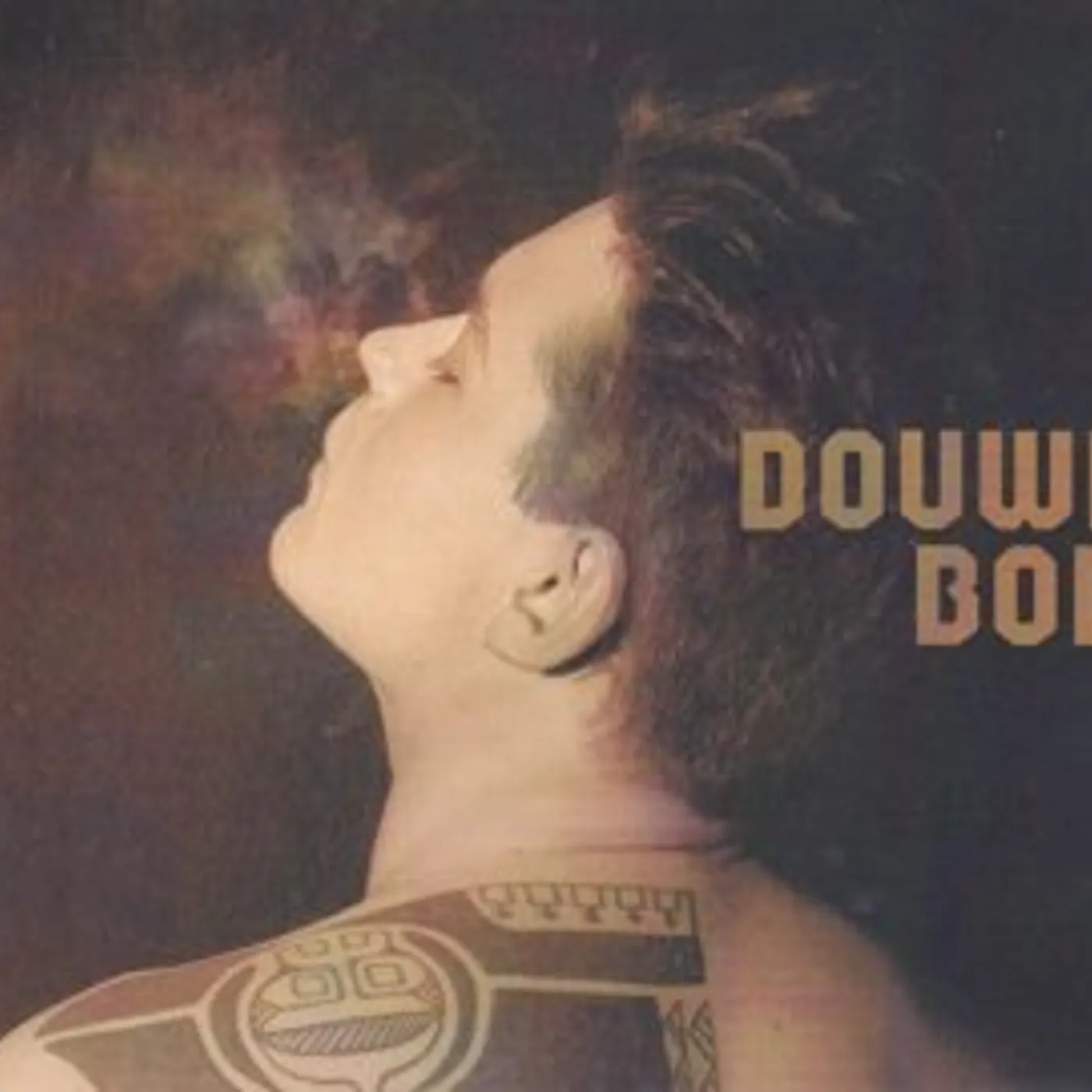 Douwe Bob BORN IN A STORM-DIGI- CD