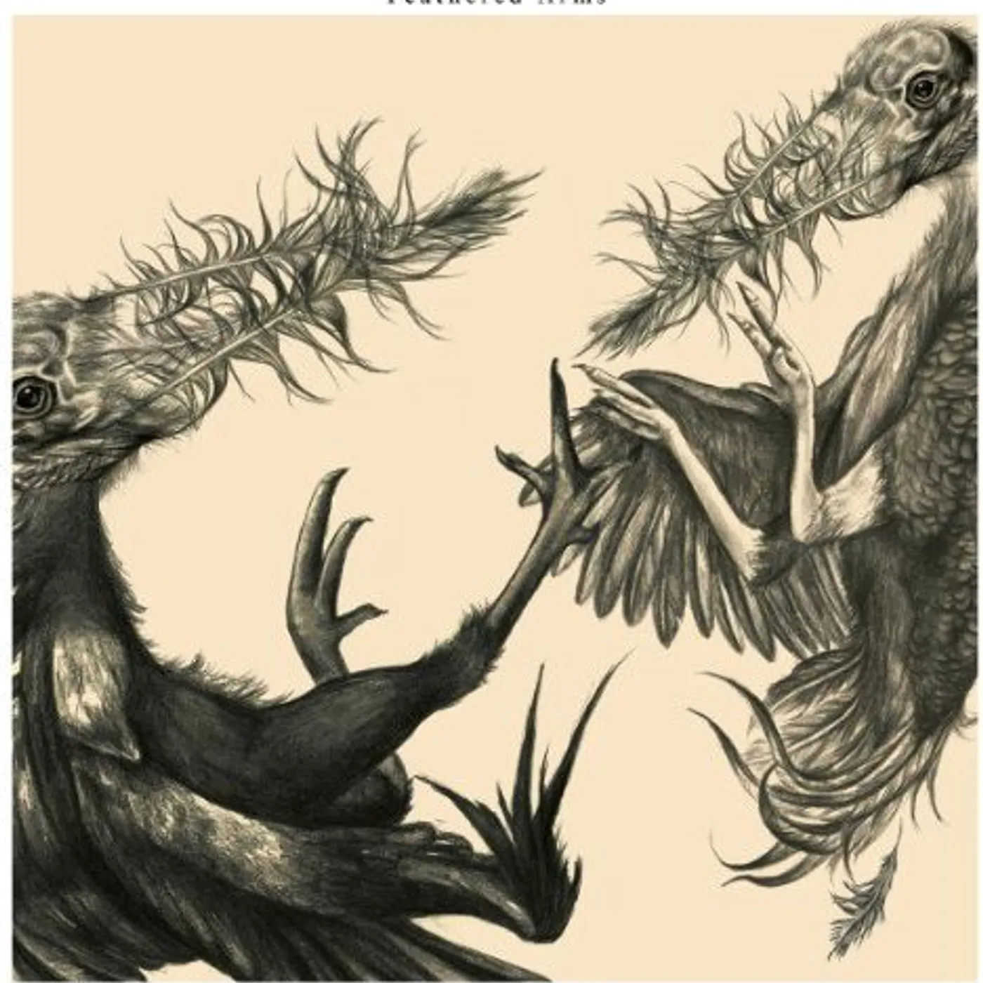 Feathered Arms Vinyl Record