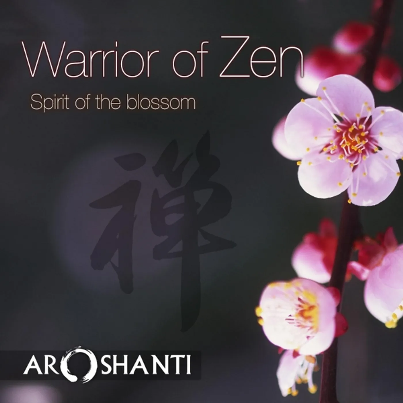 Aroshanti WARRIOR OF ZEN CD
