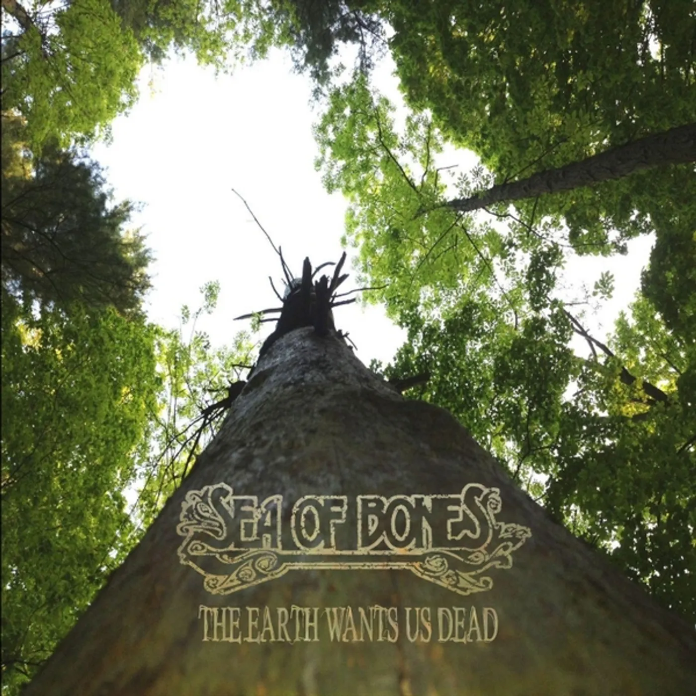 Sea of Bones EARTH WANTS US DEAD CD