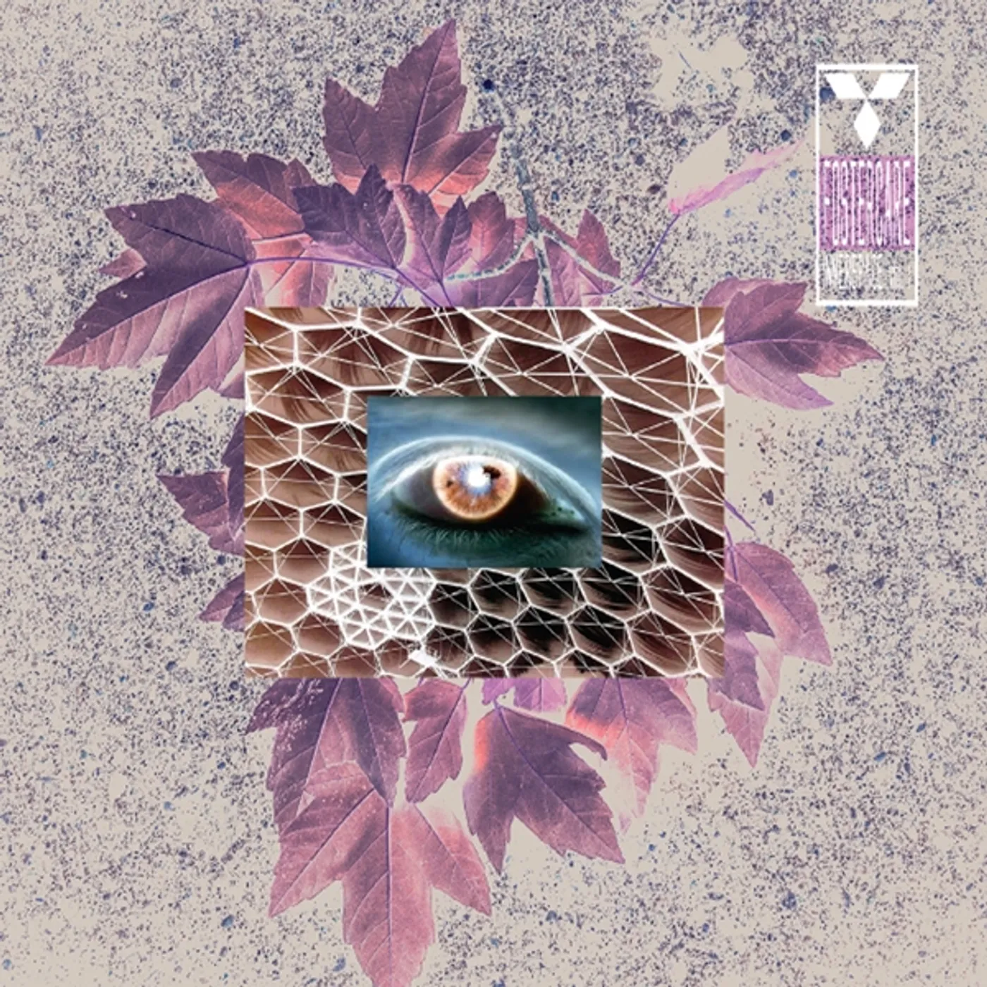 Fostercare INNERSPACE VOL. 1 CD