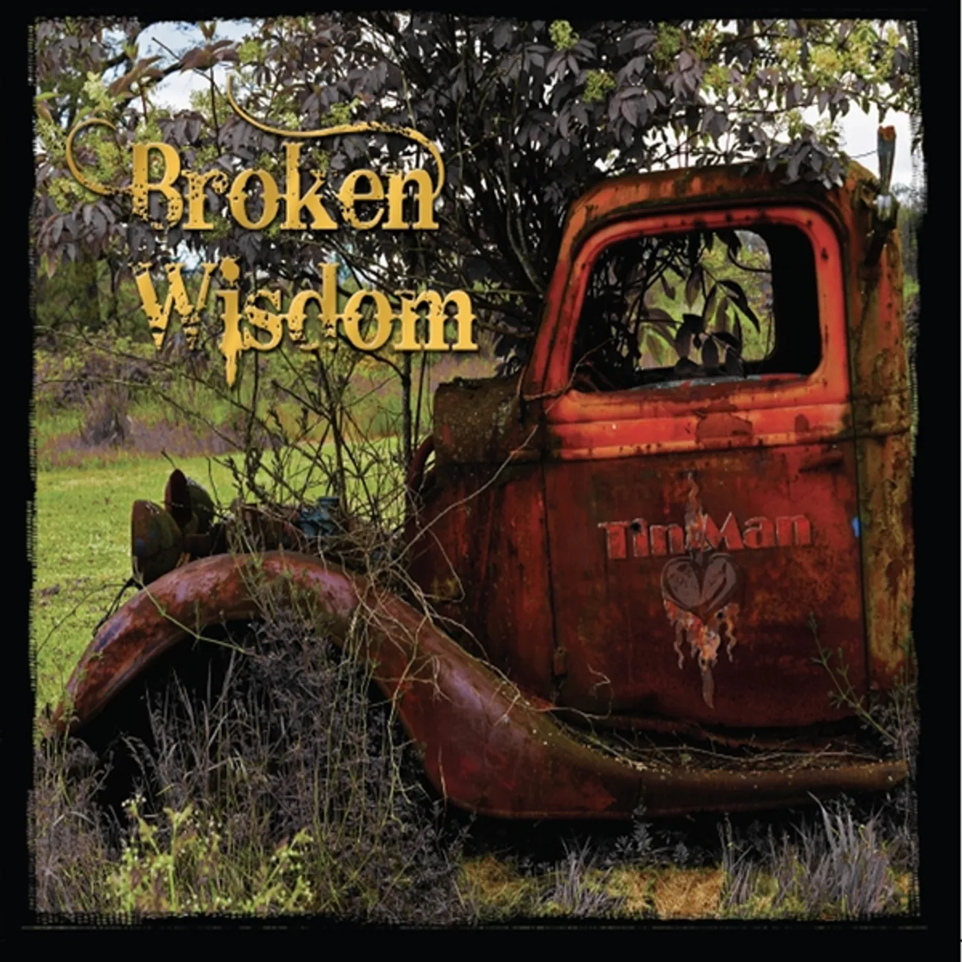 Tin Man BROKEN WISDOM CD