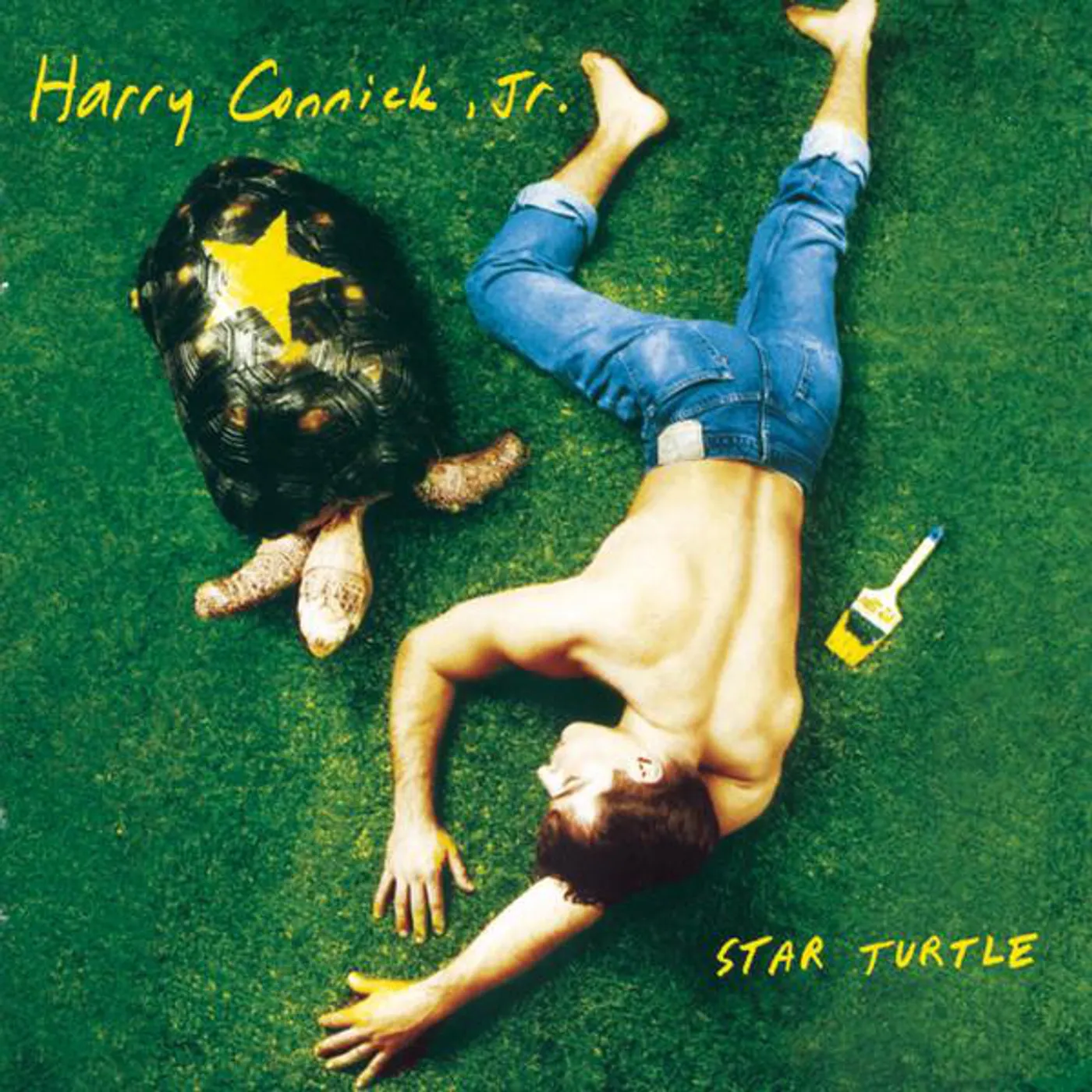 Harry Connick, Jr. Star Turtle Vinyl Record