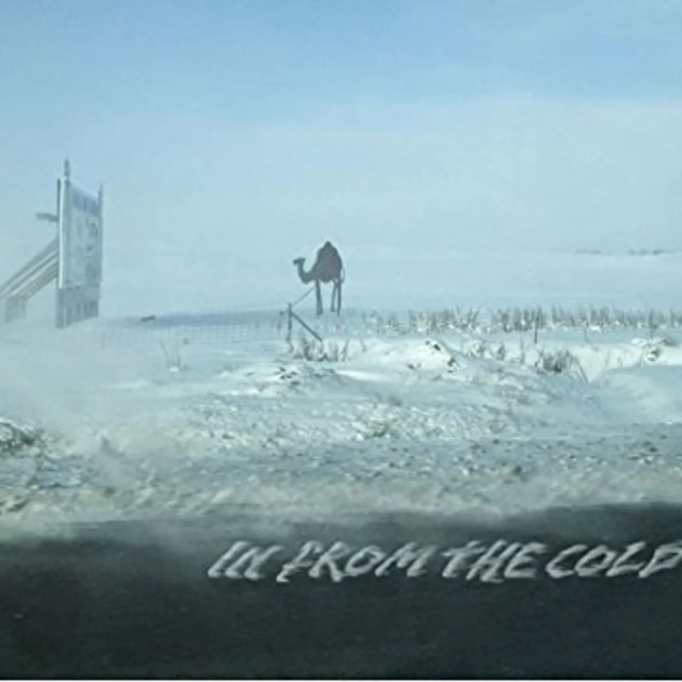 In From The Cold DVD