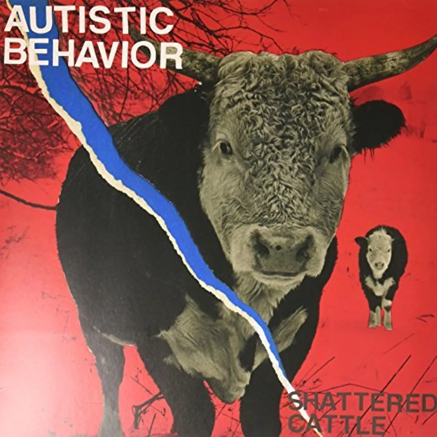 Autistic Behavior Shattered Cattle Vinyl Record