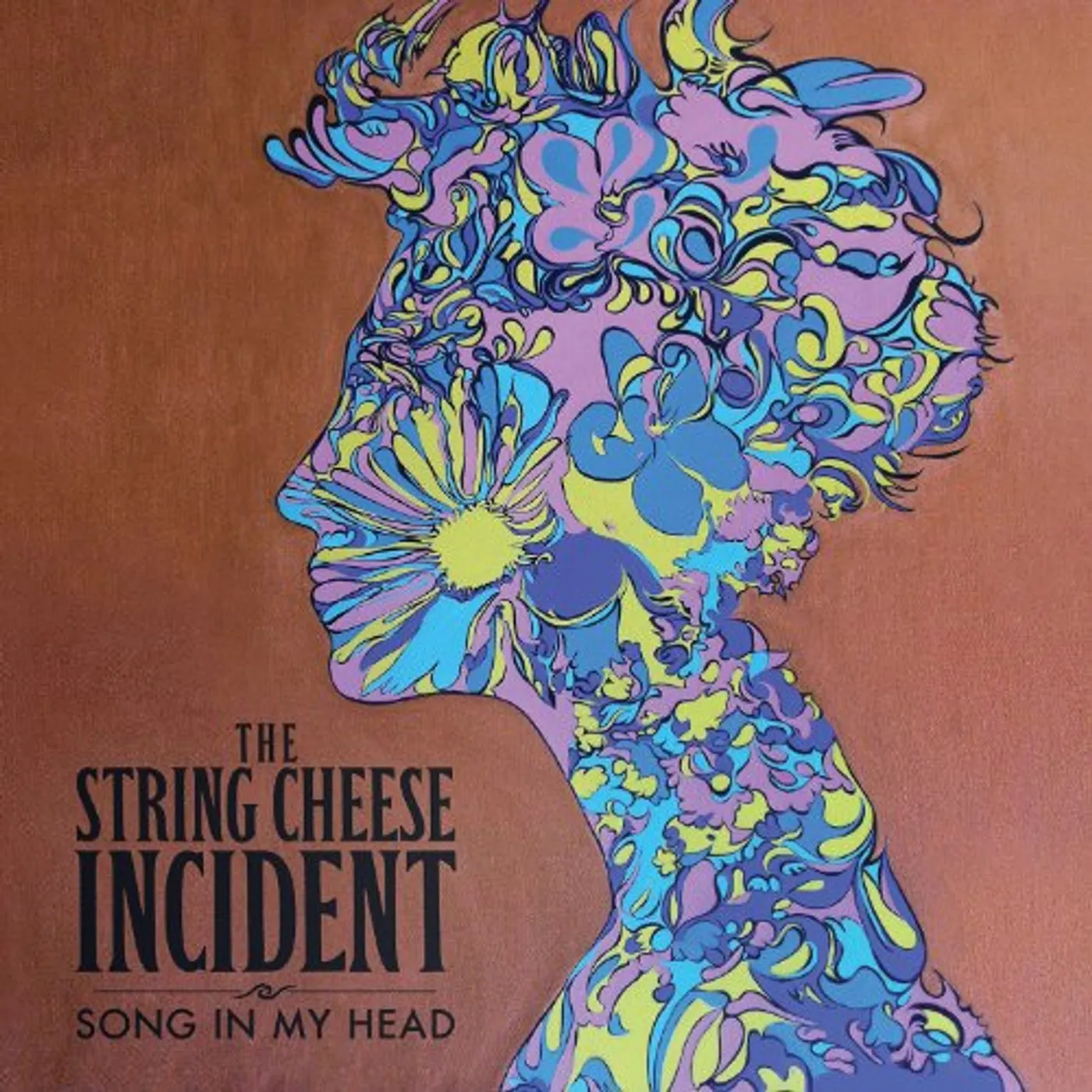 The String Cheese Incident Song In My Head Vinyl Record