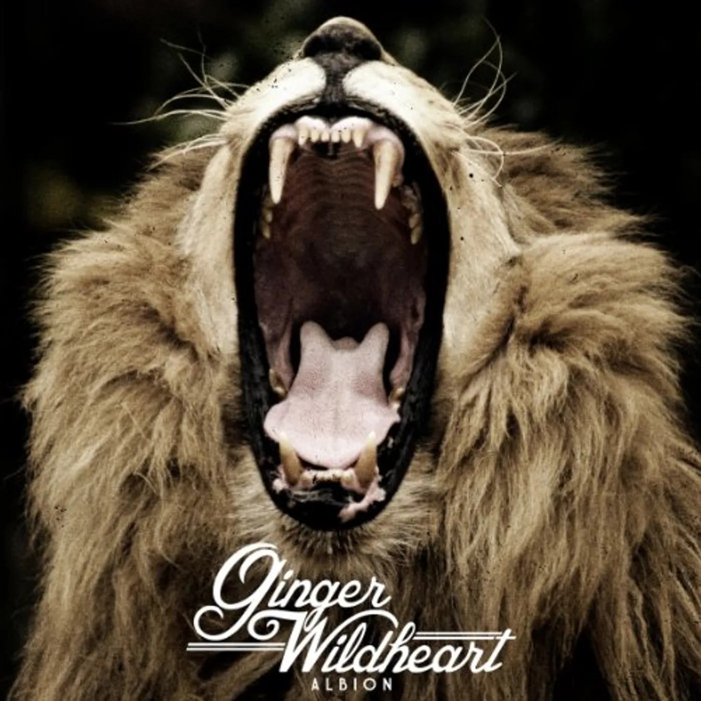 Ginger Wildheart ALBION CD