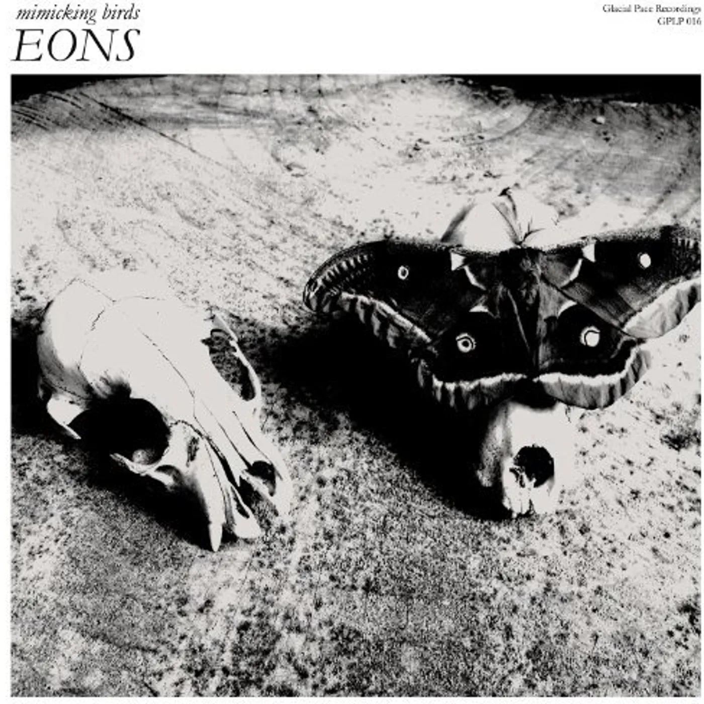 Mimicking Birds Eons Vinyl Record