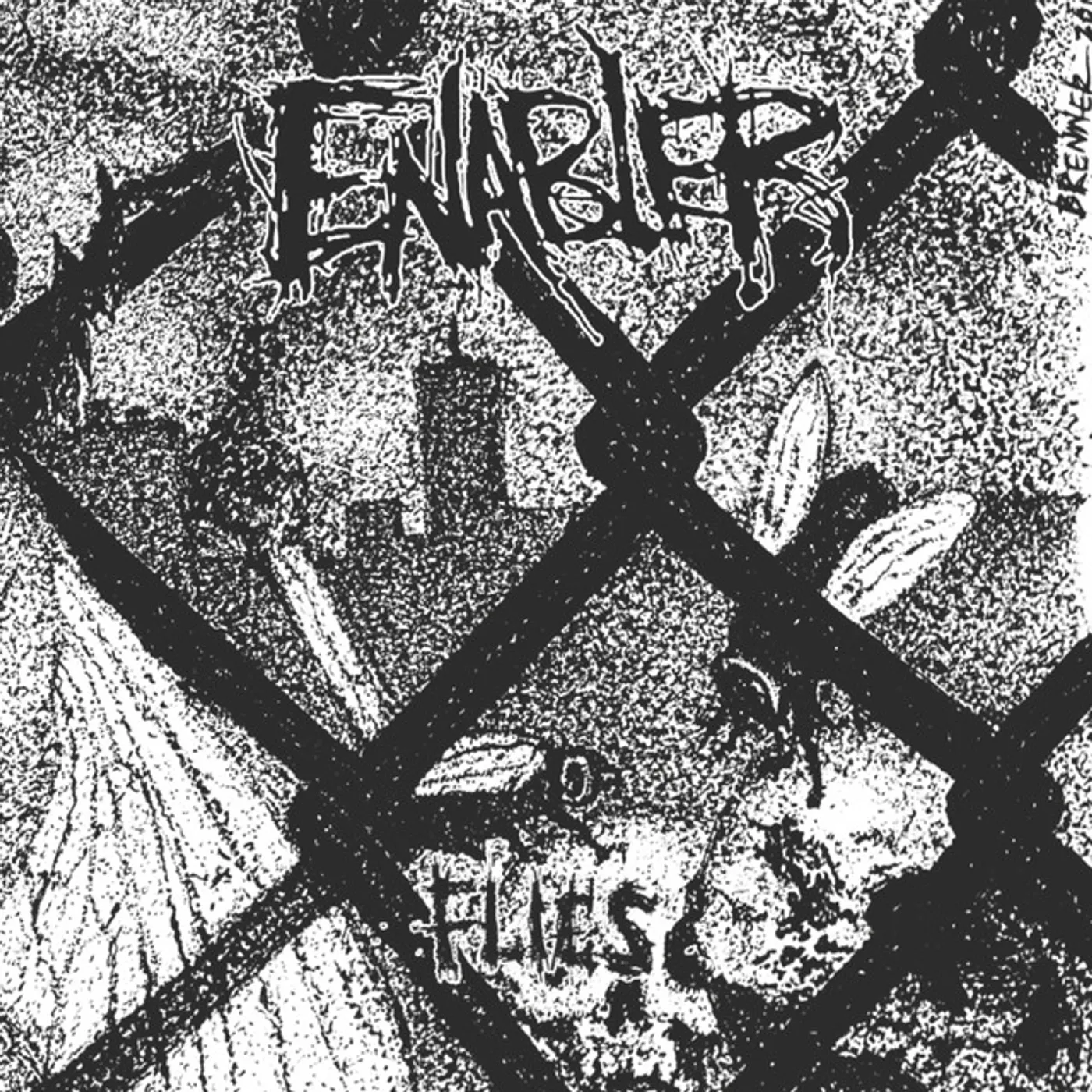 Enabler Flies Vinyl Record