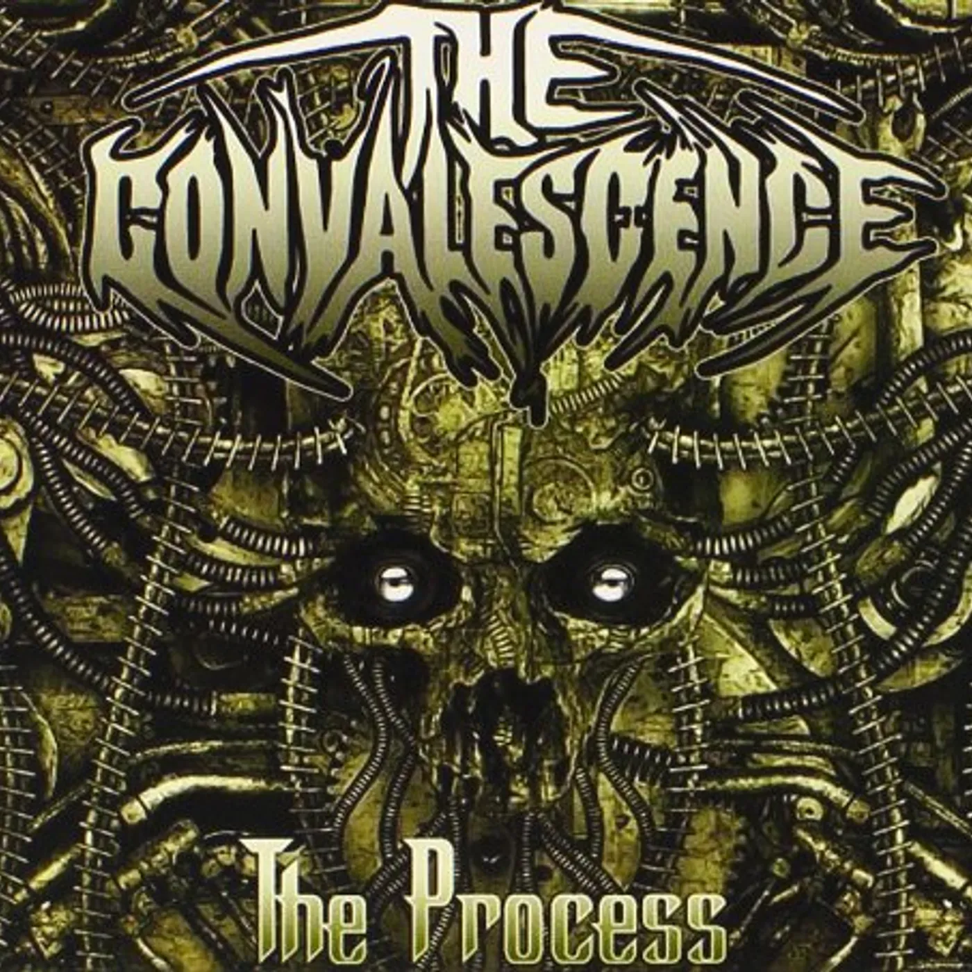 The Convalescence THE PROCESS CD
