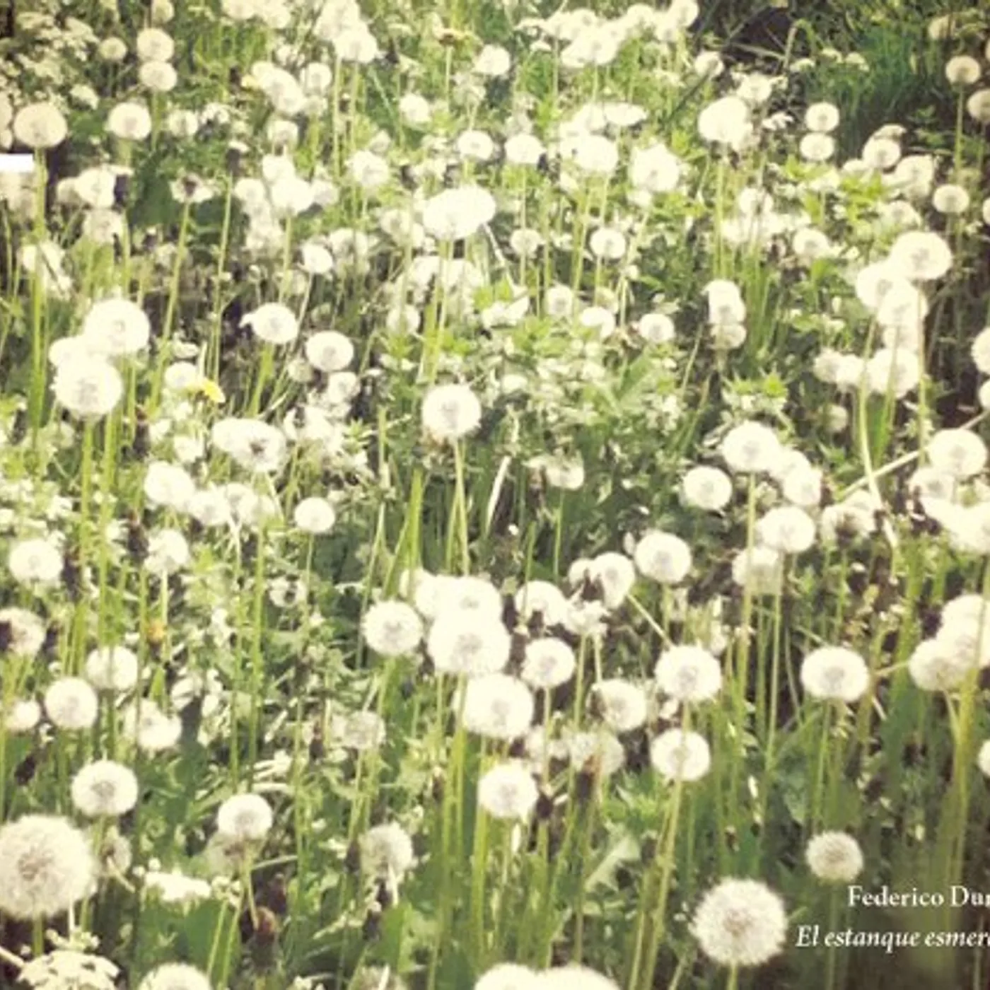 Federico Durand EL ESTANQUE ESMERALDA CD