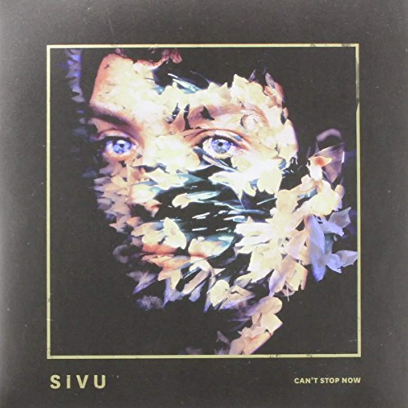 Sivu Can't Stop Now Vinyl Record
