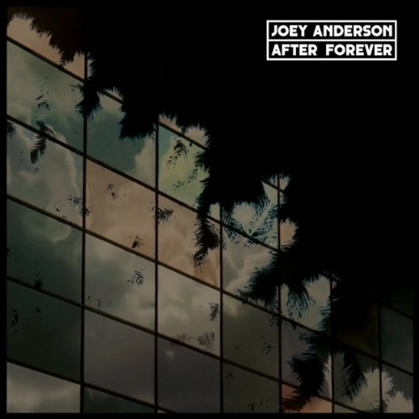 Joey Anderson After Forever Vinyl Record
