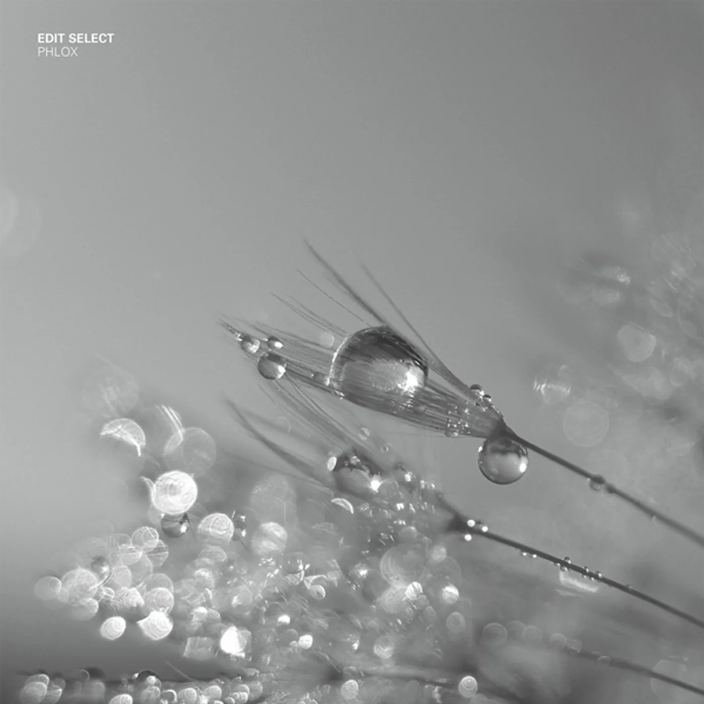 Edit Select Phlox Vinyl Record