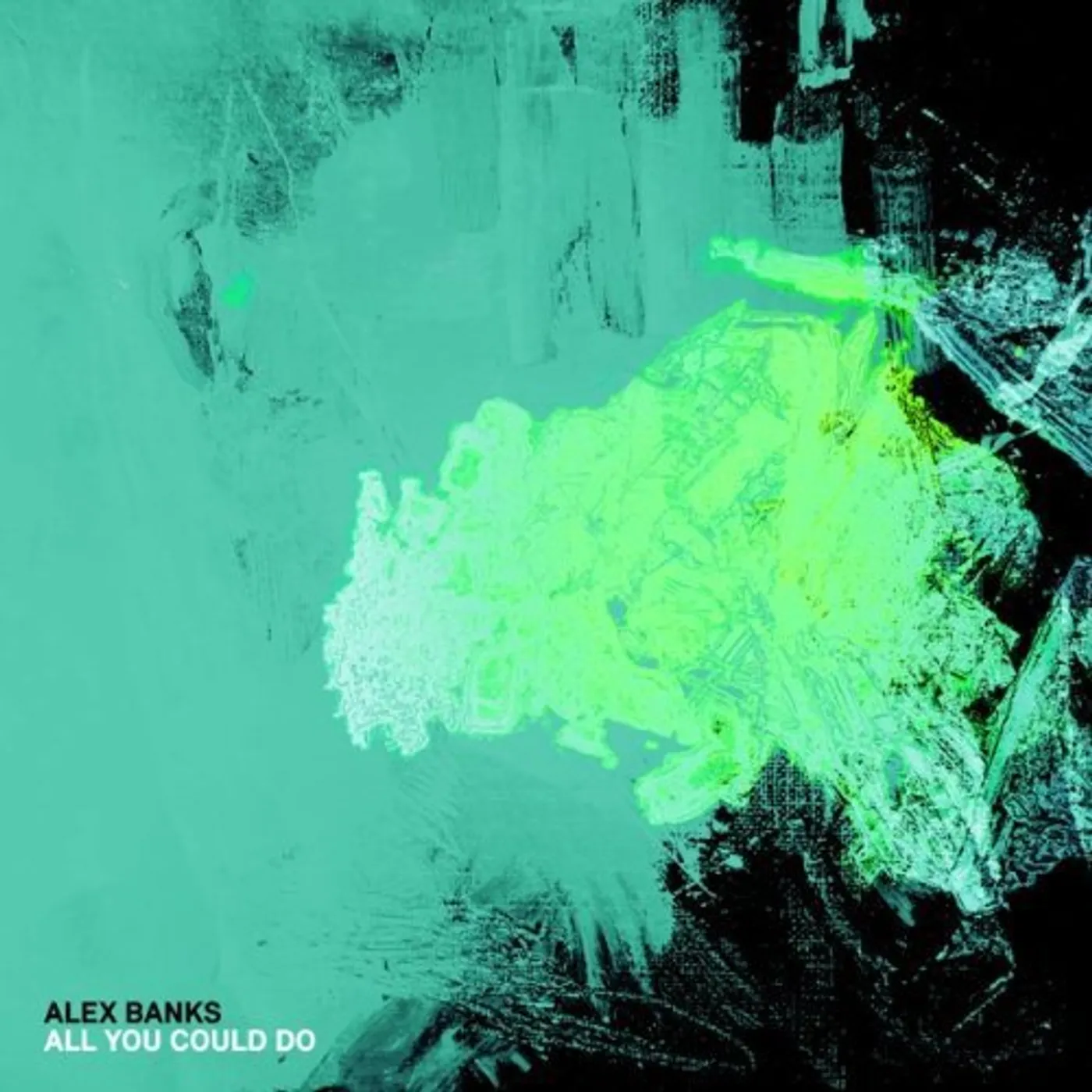Alex Banks All You Could Do Vinyl Record