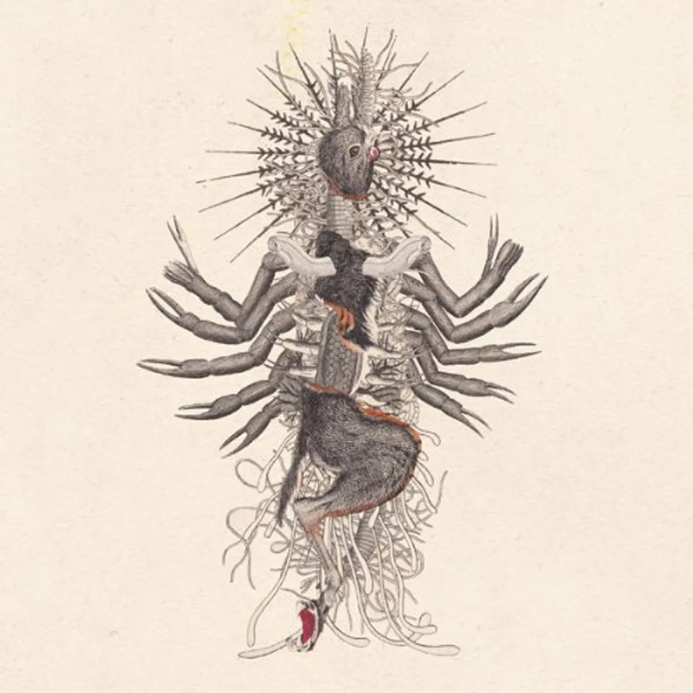 We Will Fail VERSTORUNG CD