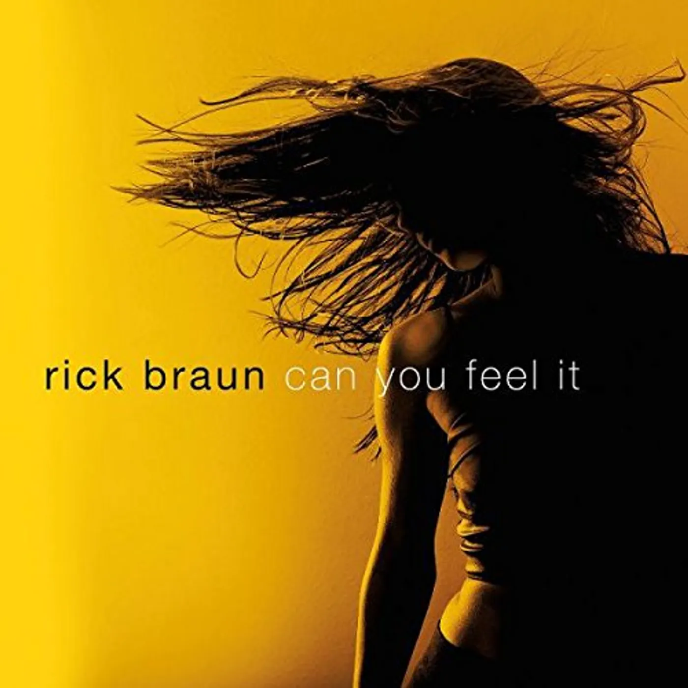 Rick Braun CAN YOU FEEL IT CD
