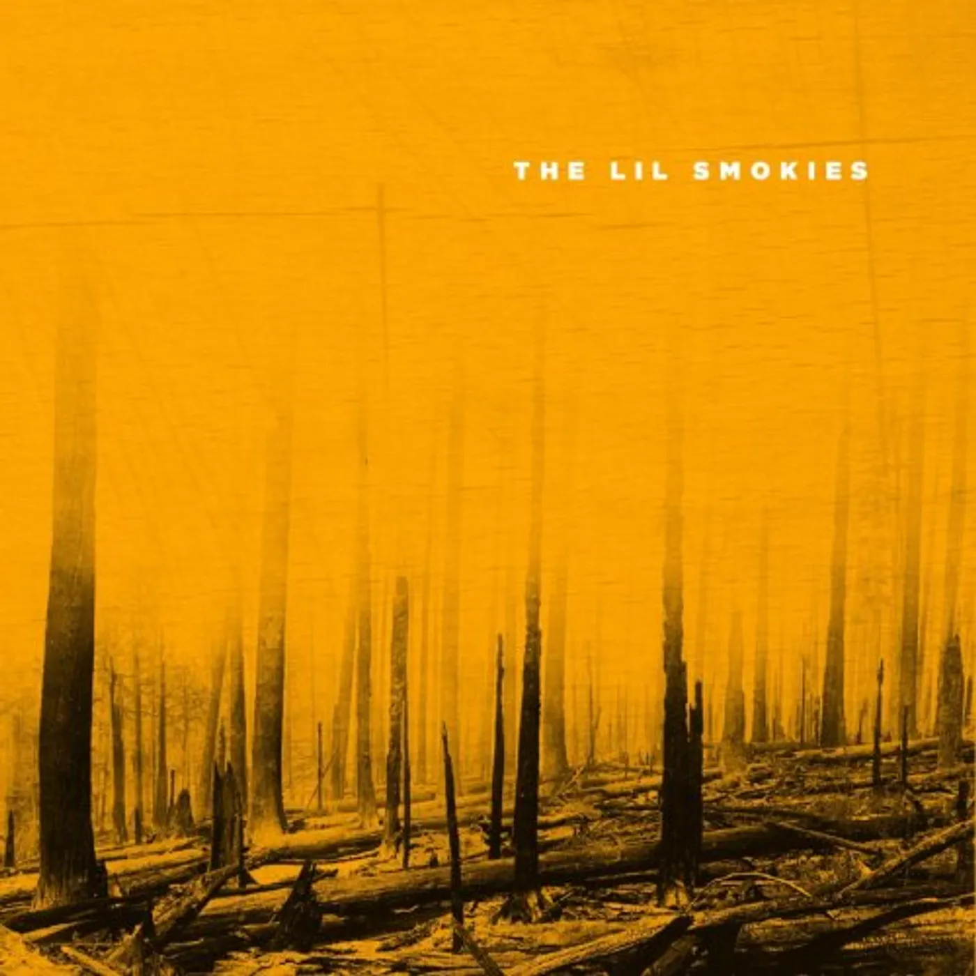 The Lil Smokies CD