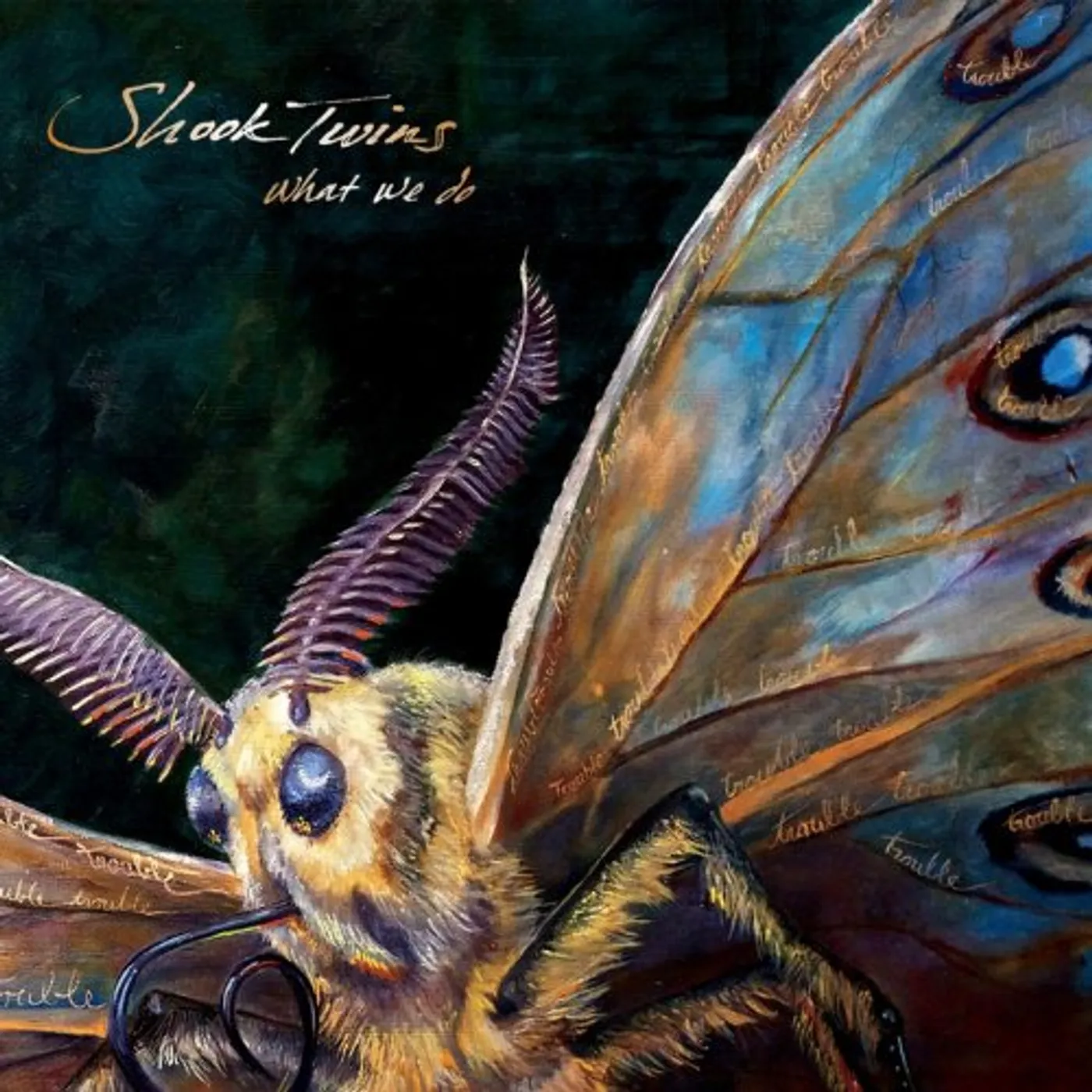 Shook Twins WHAT WE DO CD