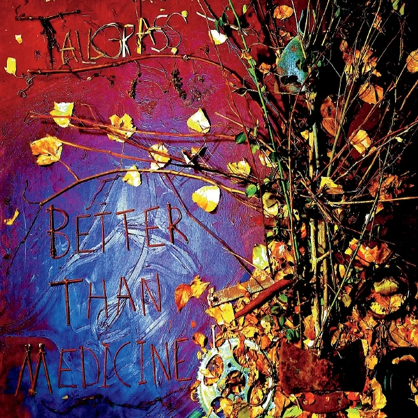 Tallgrass BETTER THAN MEDICINE CD