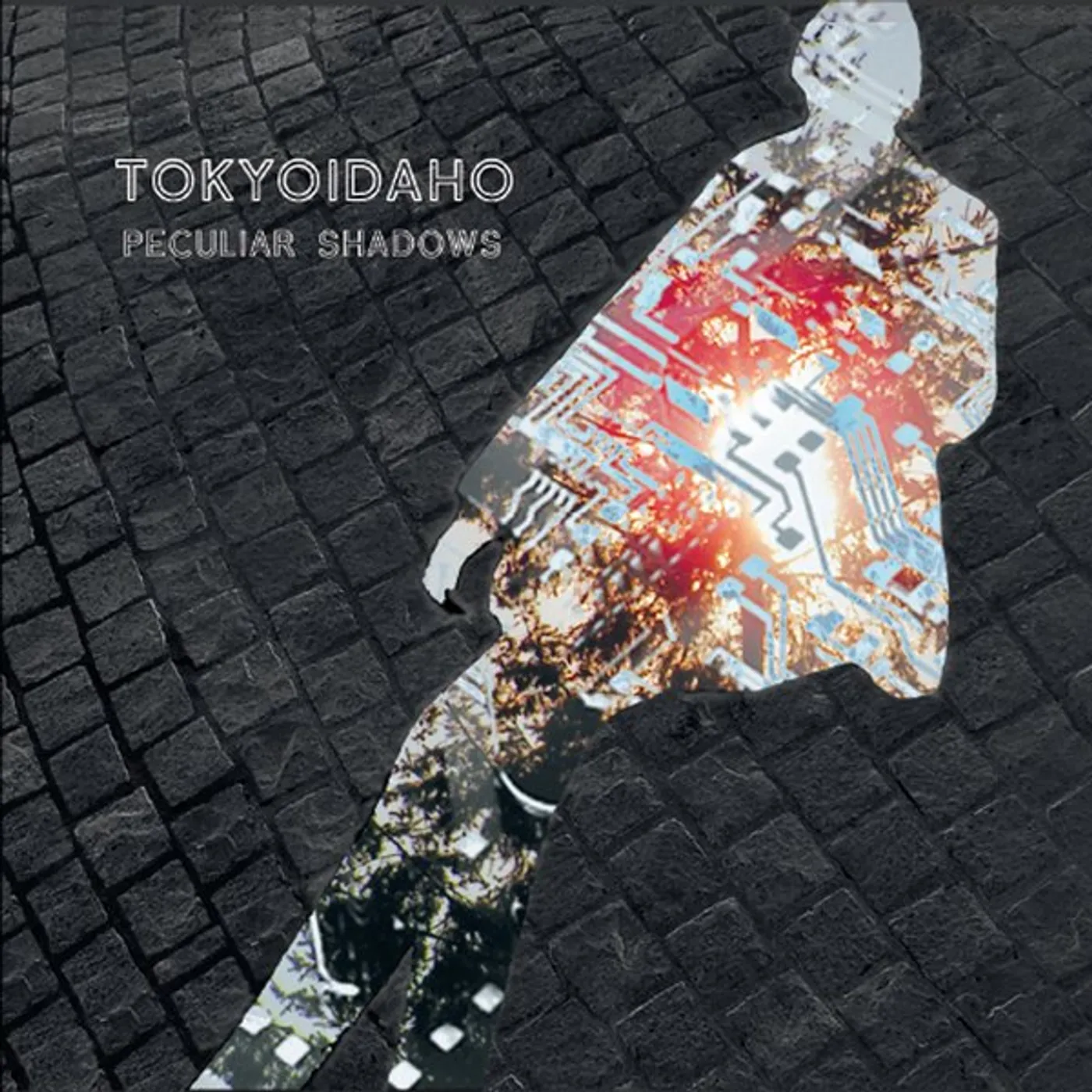 Tokyoidaho PECULIAR SHADOWS CD