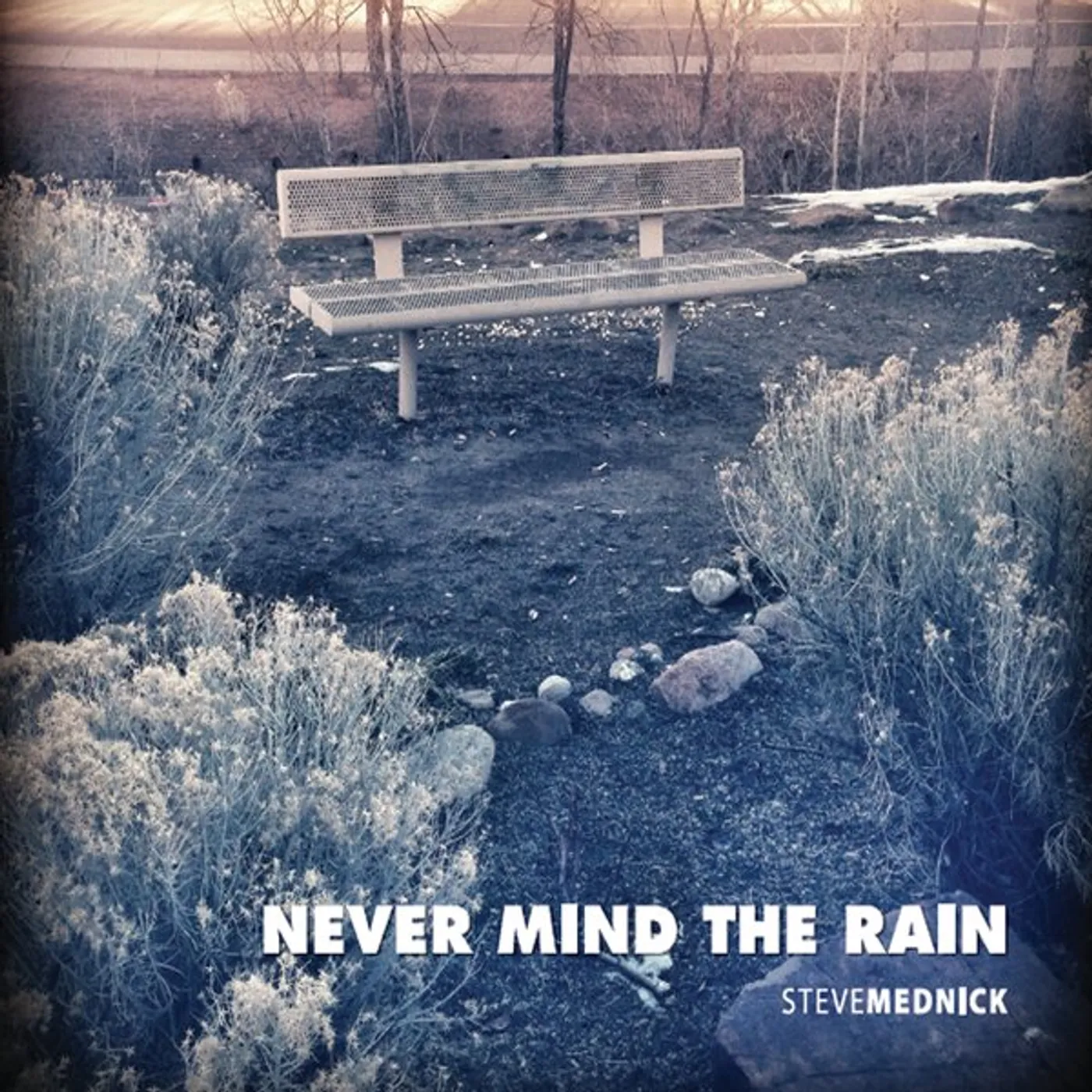 Steve Mednick NEVER MIND THE RAIN CD