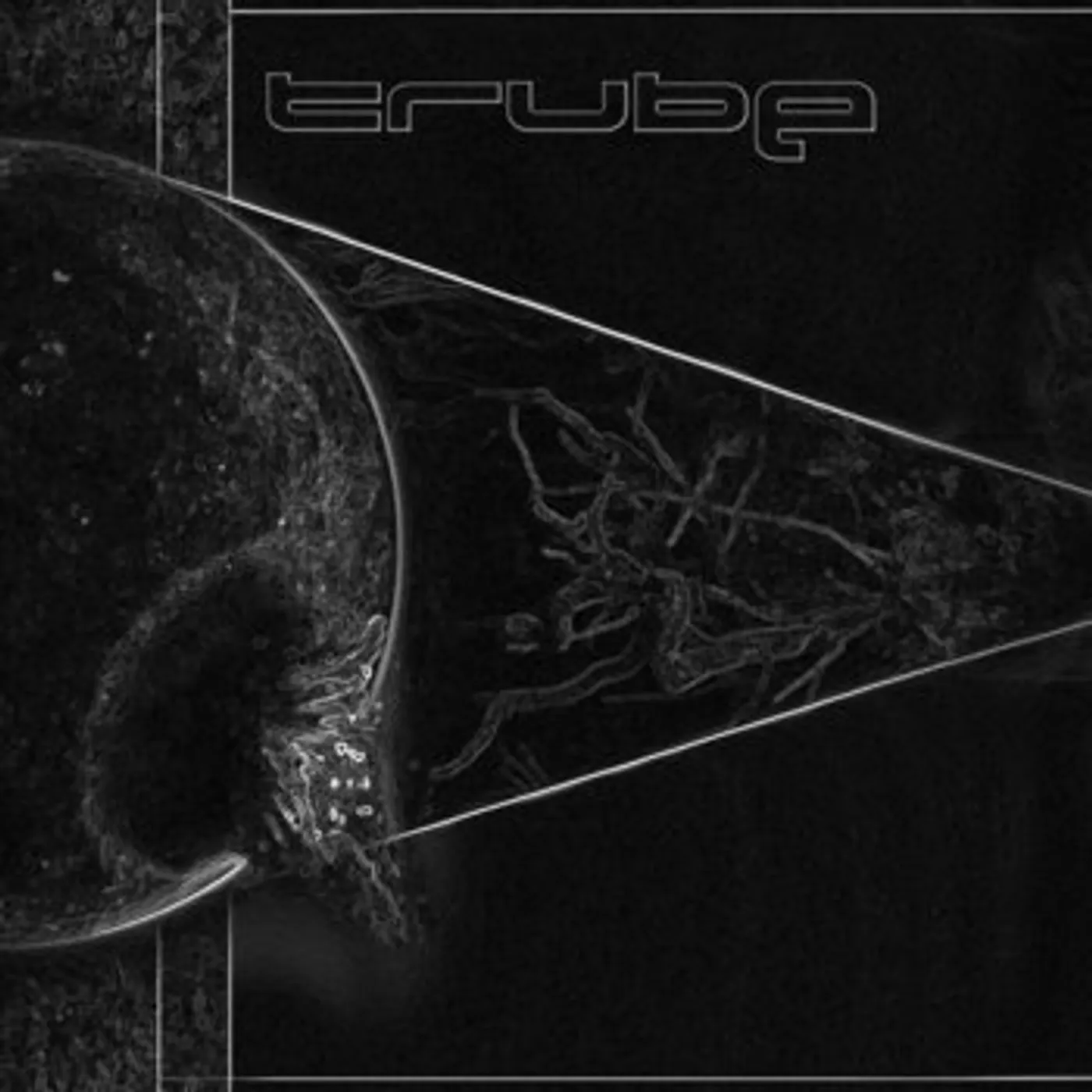 Trube ZONE OF ALIENATION CD