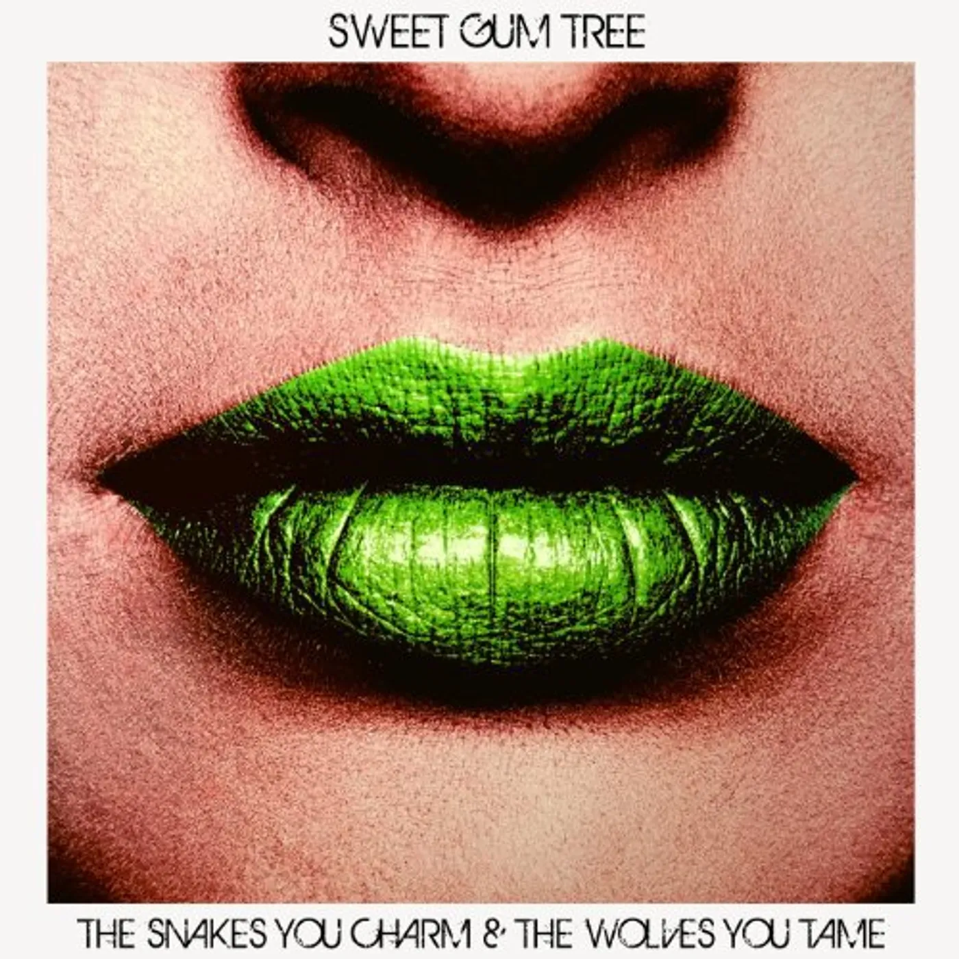 Sweet Gum Tree SNAKES YOU CHARM & THE WOLVES YOU TAKE Vinyl Record