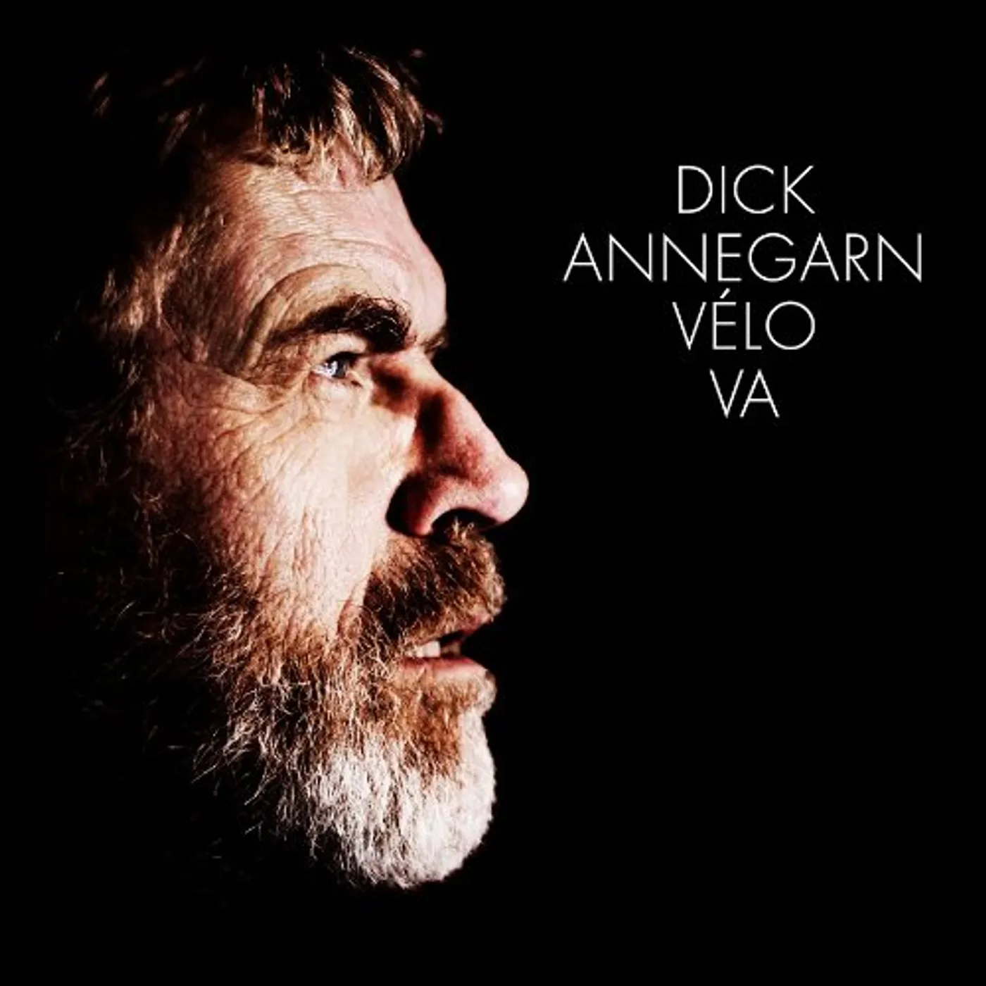 Dick Annegarn VELO VA CD