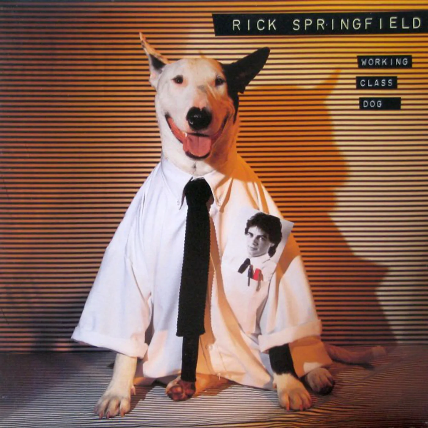 Rick Springfield WORKING CLASS DOG CD