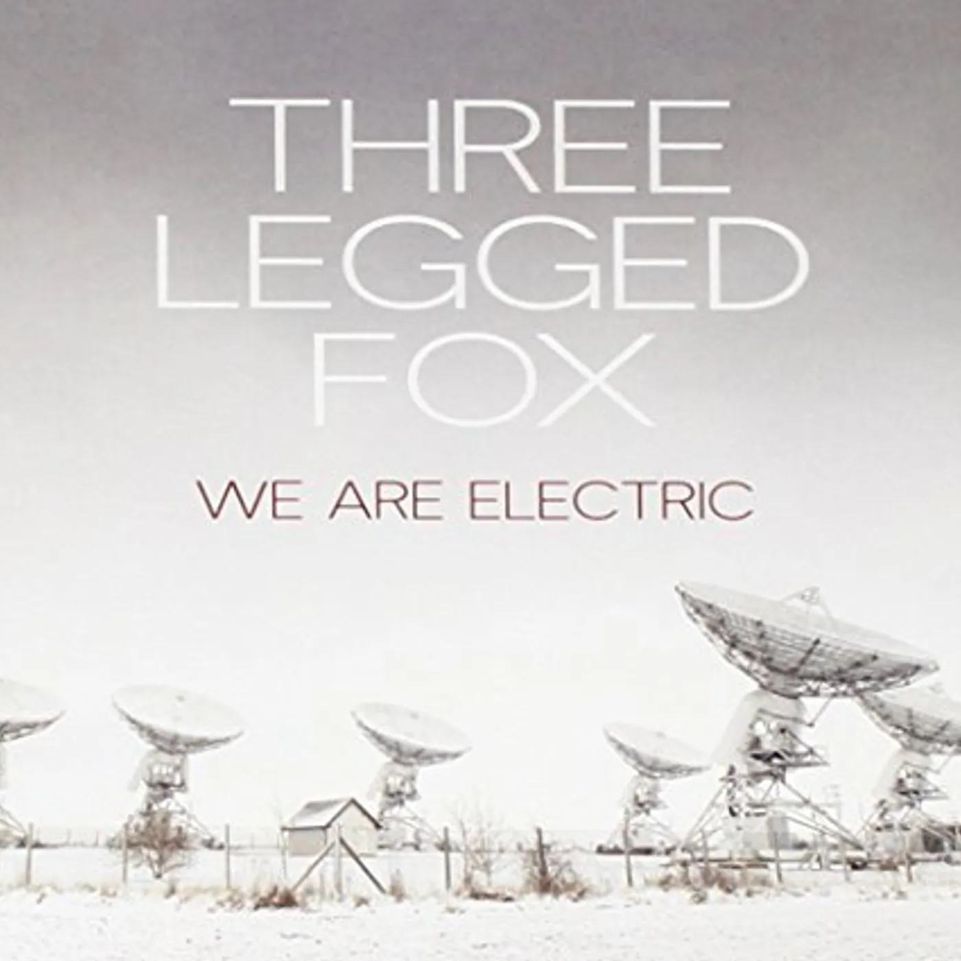 Three Legged Fox WE ARE ELECTRIC CD