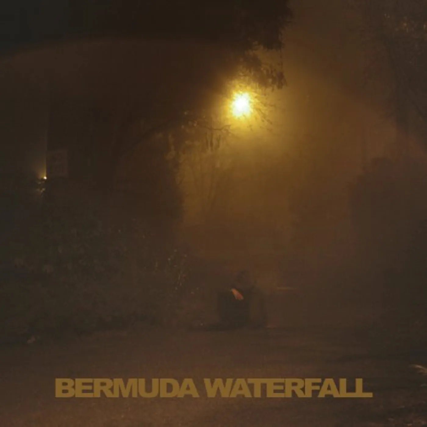 Sean Nicholas Savage Bermuda Waterfall Vinyl Record