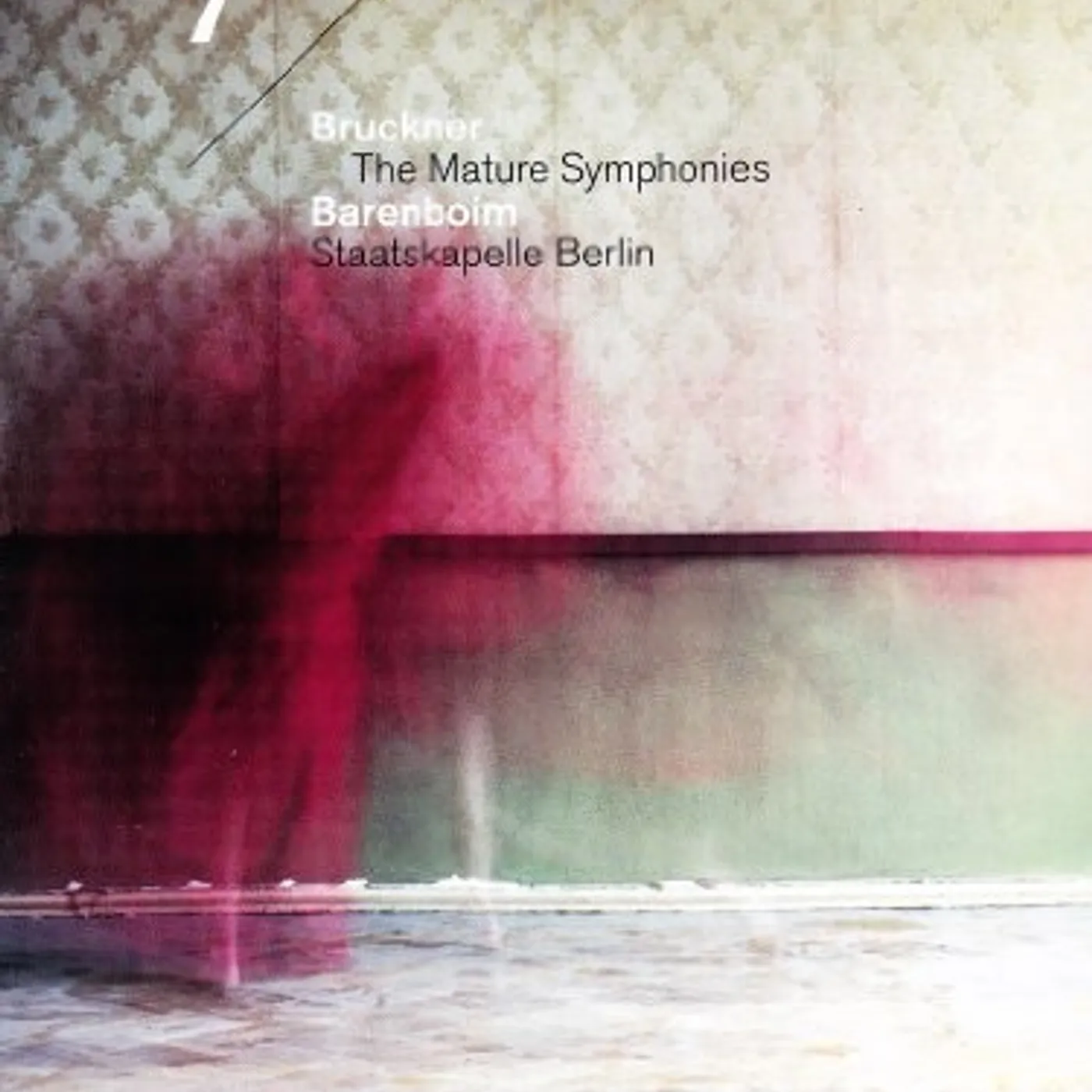 Bruckner SYM 7 IN E MAJOR DVD