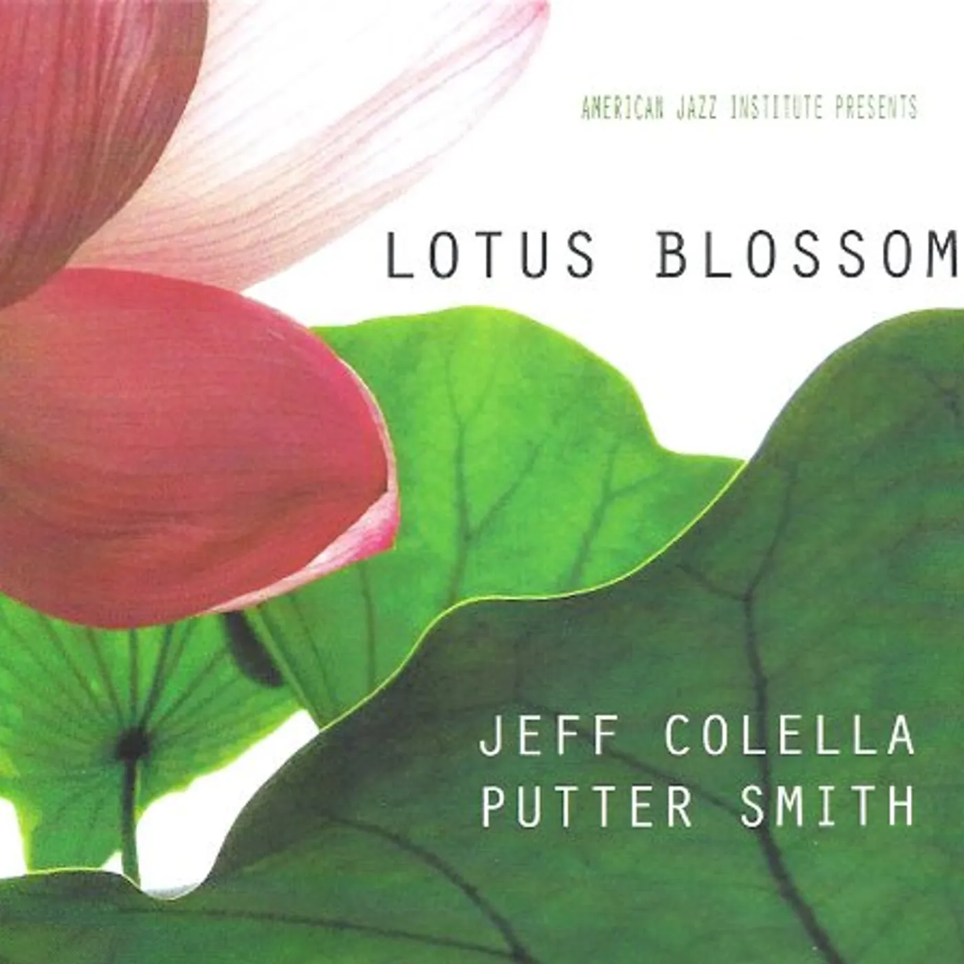 Jeff Colella LOTUS BLOSSOM CD