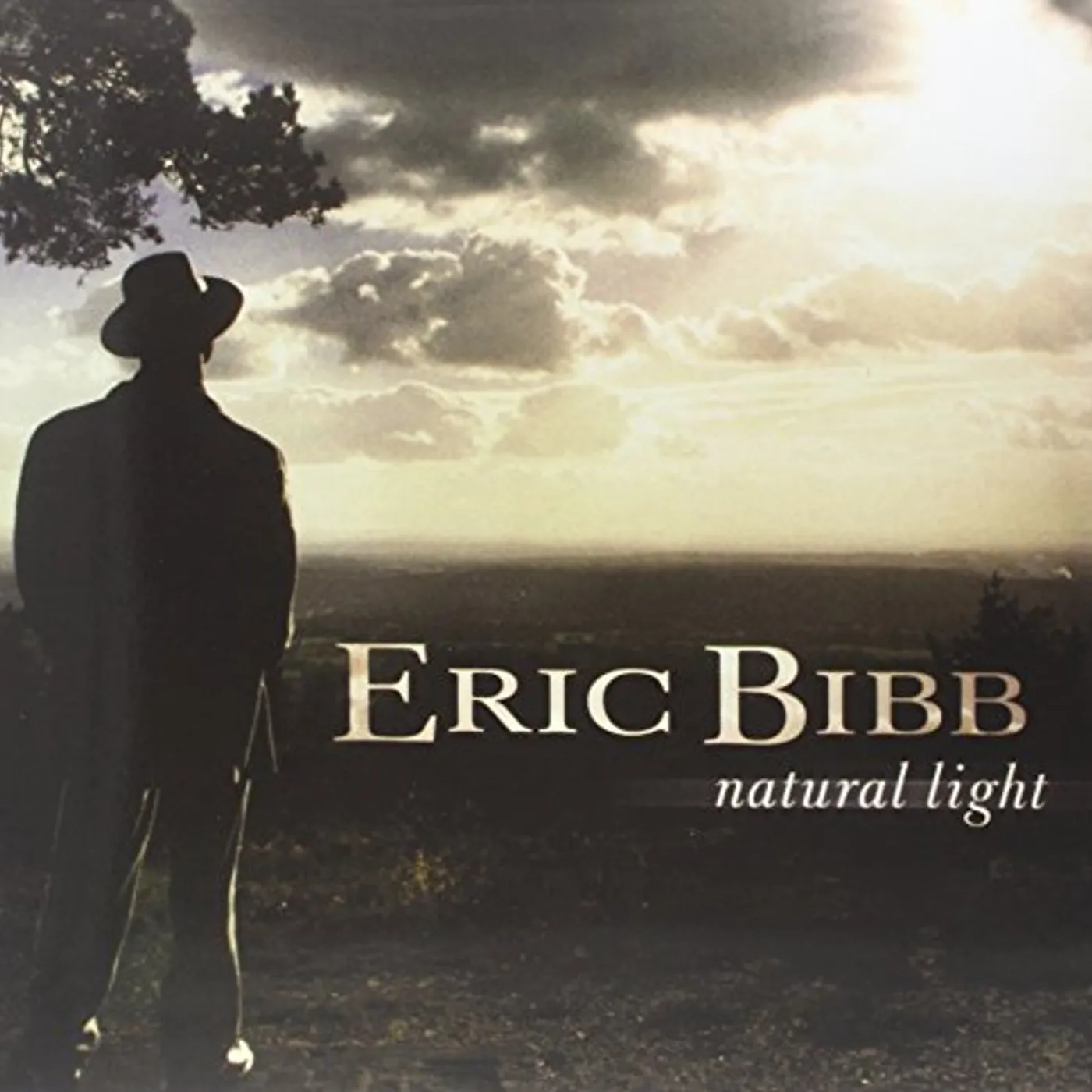 Eric Bibb Natural Light Vinyl Record