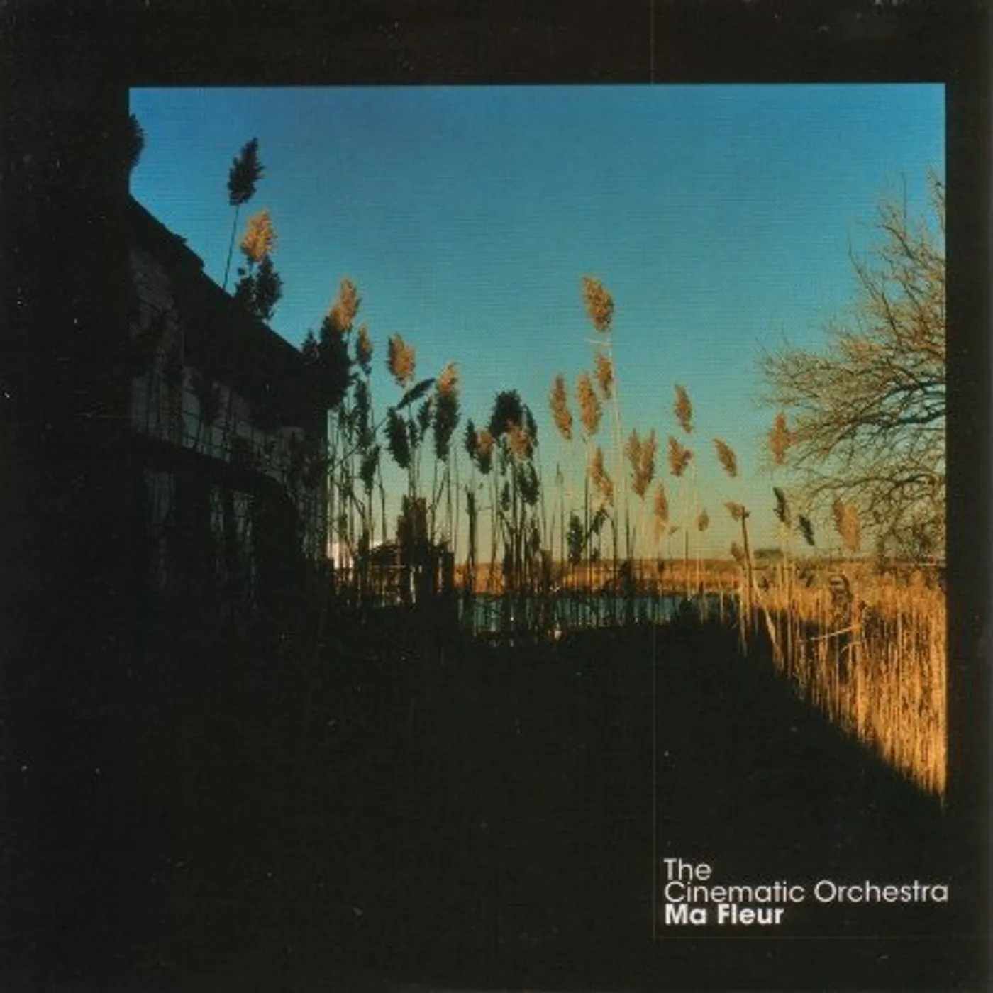 The Cinematic Orchestra Ma Fleur Vinyl Record