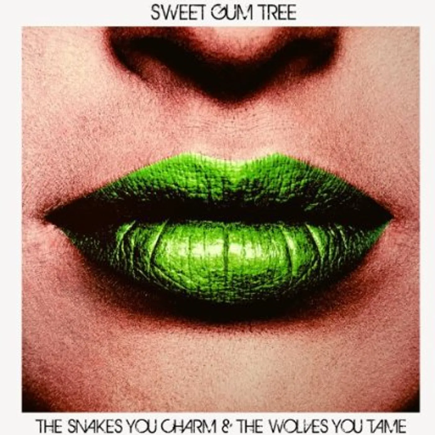 Sweet Gum Tree SNAKES YOU CHARM & THE WOLVES YOU TAKE CD