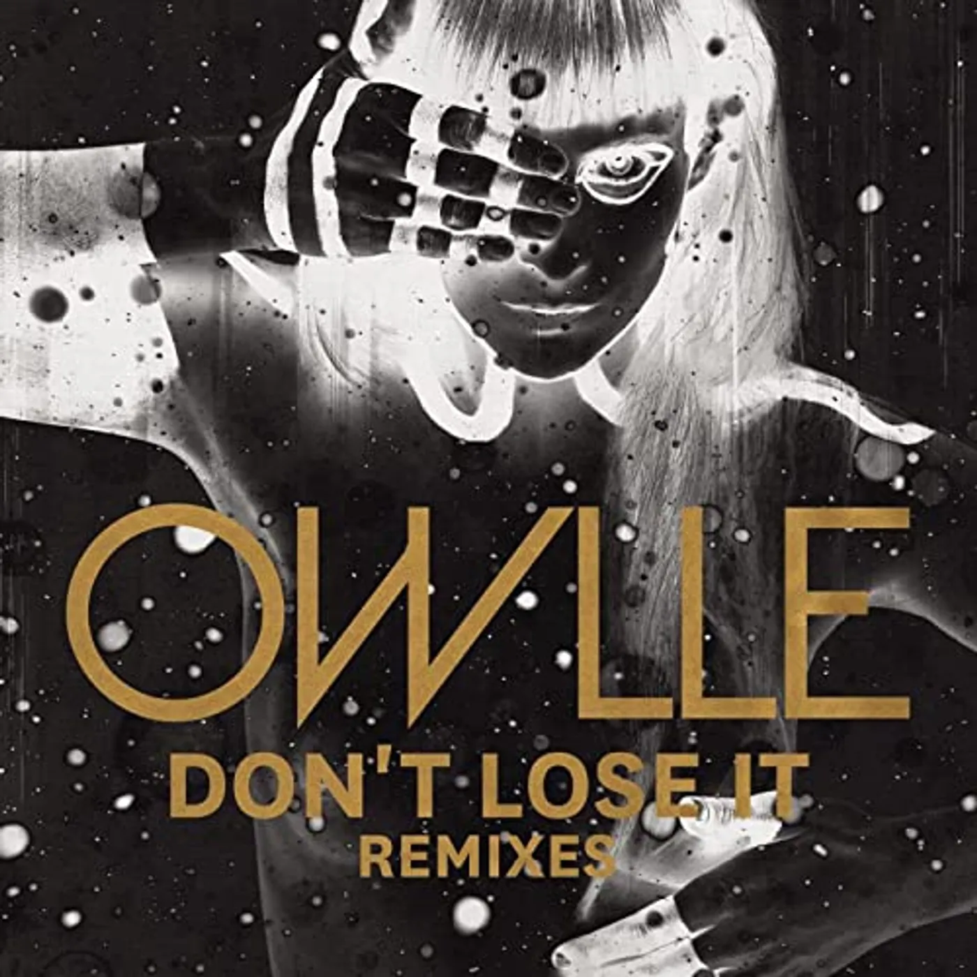 Owlle DON'T LOSE IT: REMIX Vinyl Record