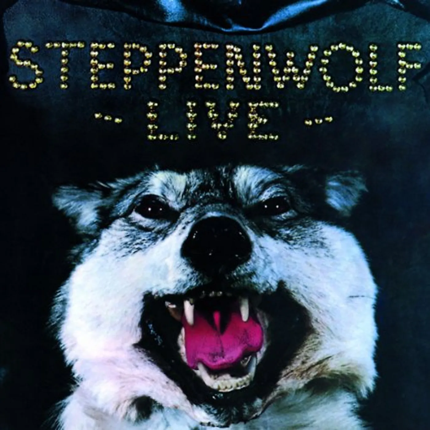 Steppenwolf LIVE Vinyl Record - Holland Release