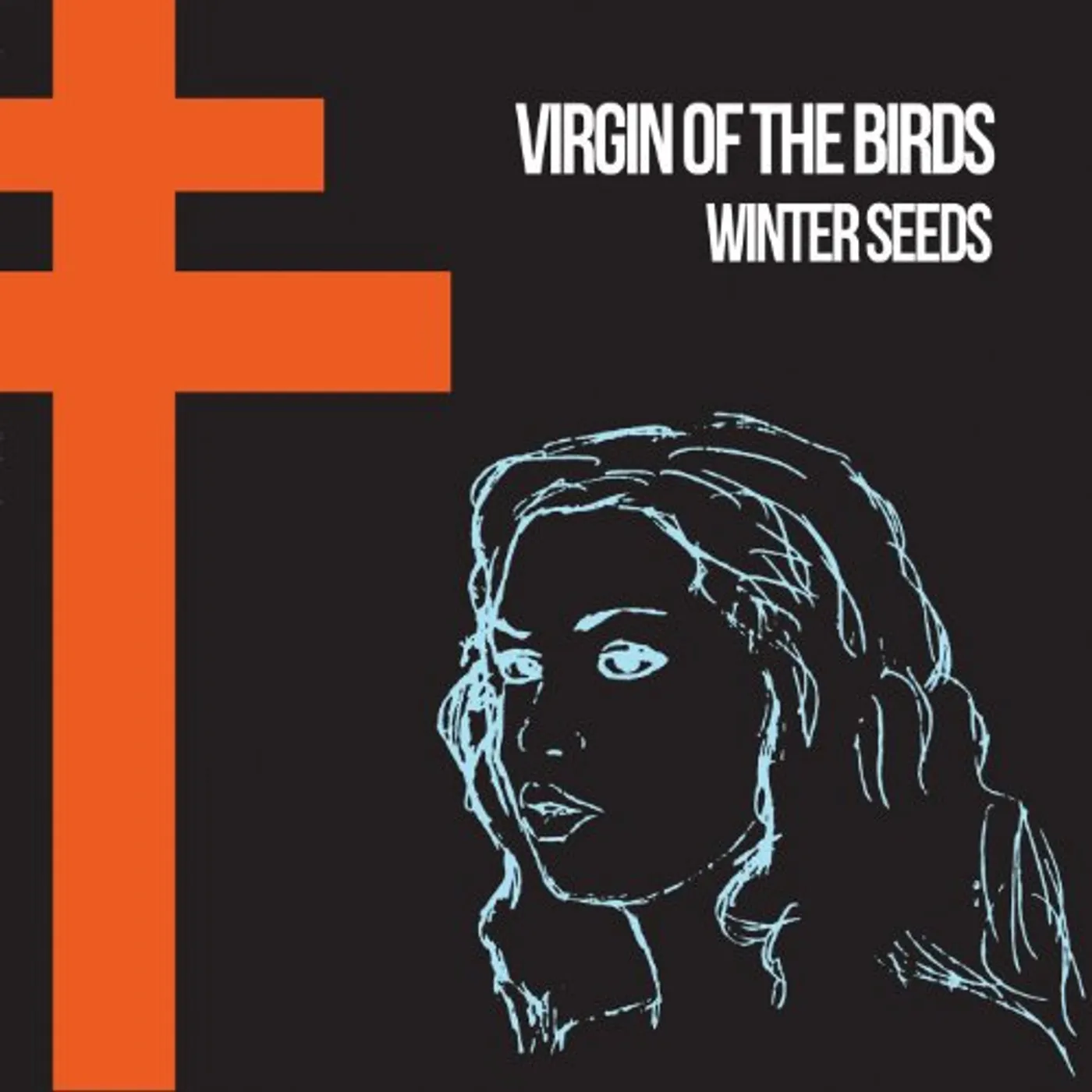 Virgin of the Birds WINTER SEEDS Vinyl Record - UK Release