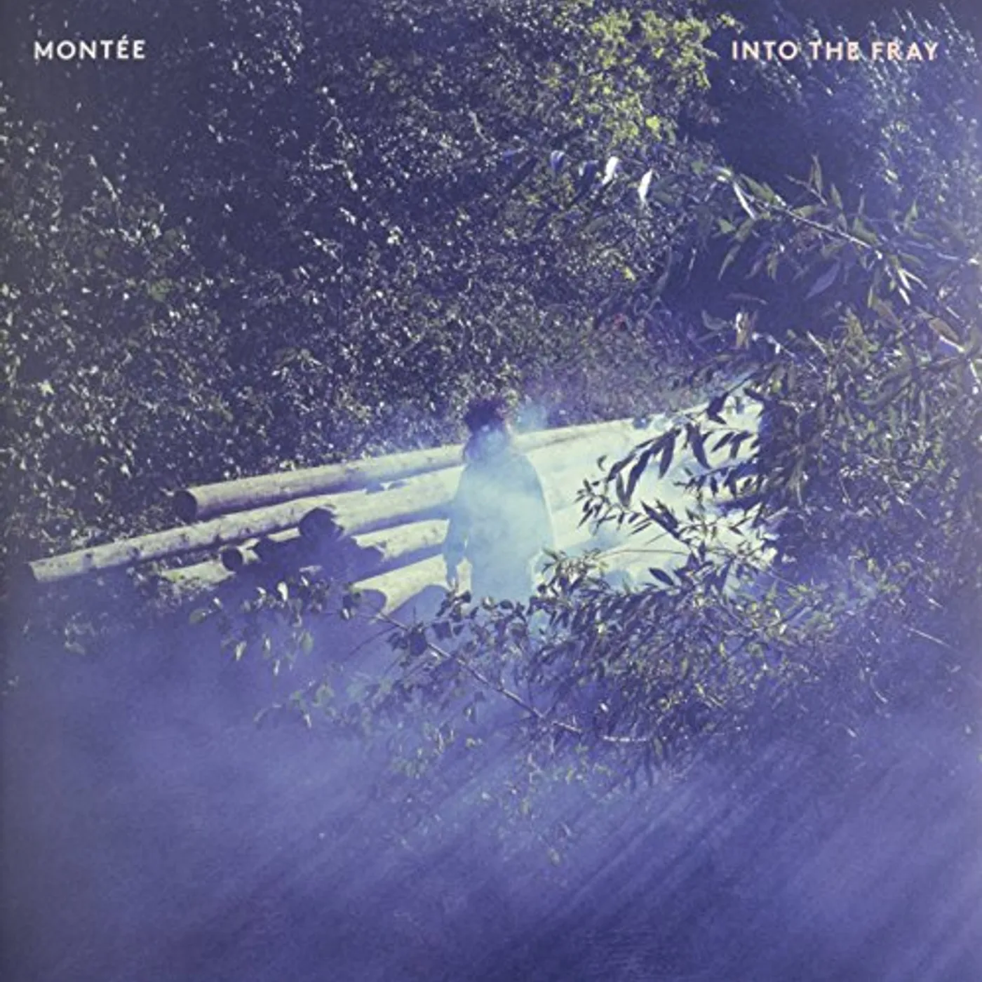 Montée Into the Fray Vinyl Record